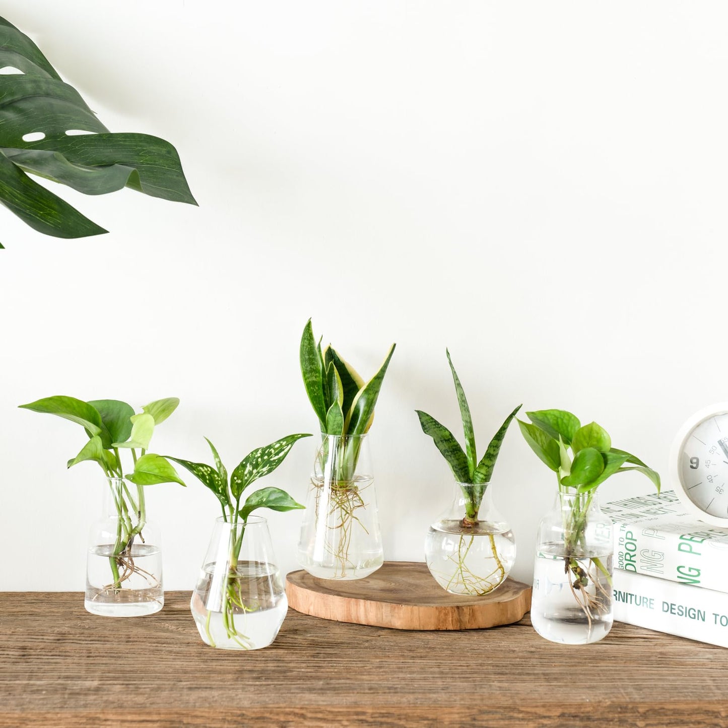 Mkono Propagation Vases for Plants, Set of 5 Small Glass Jar Planters for Hydroponic Cutting Flowers, Plant Station Bud Vases for Centerpieces Home Office Decor Gift