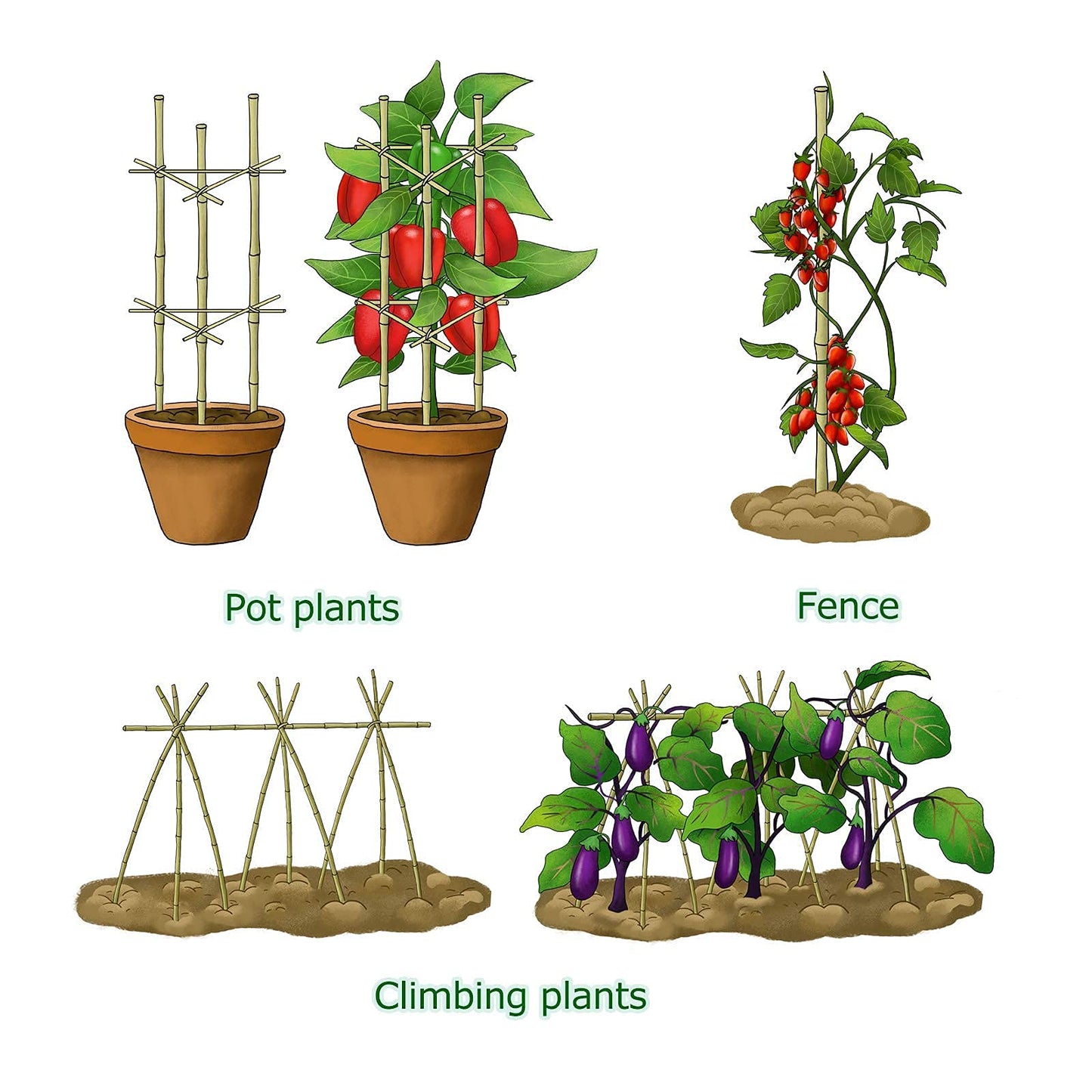Cambaverd 6ft Bamboo Garden Stakes Eco-Friendly Plant Stakes 6 Feet, Bamboo Poles for Tomatoes Beans Climbing Plants Support - Pack of 20 Bamboo Stakes