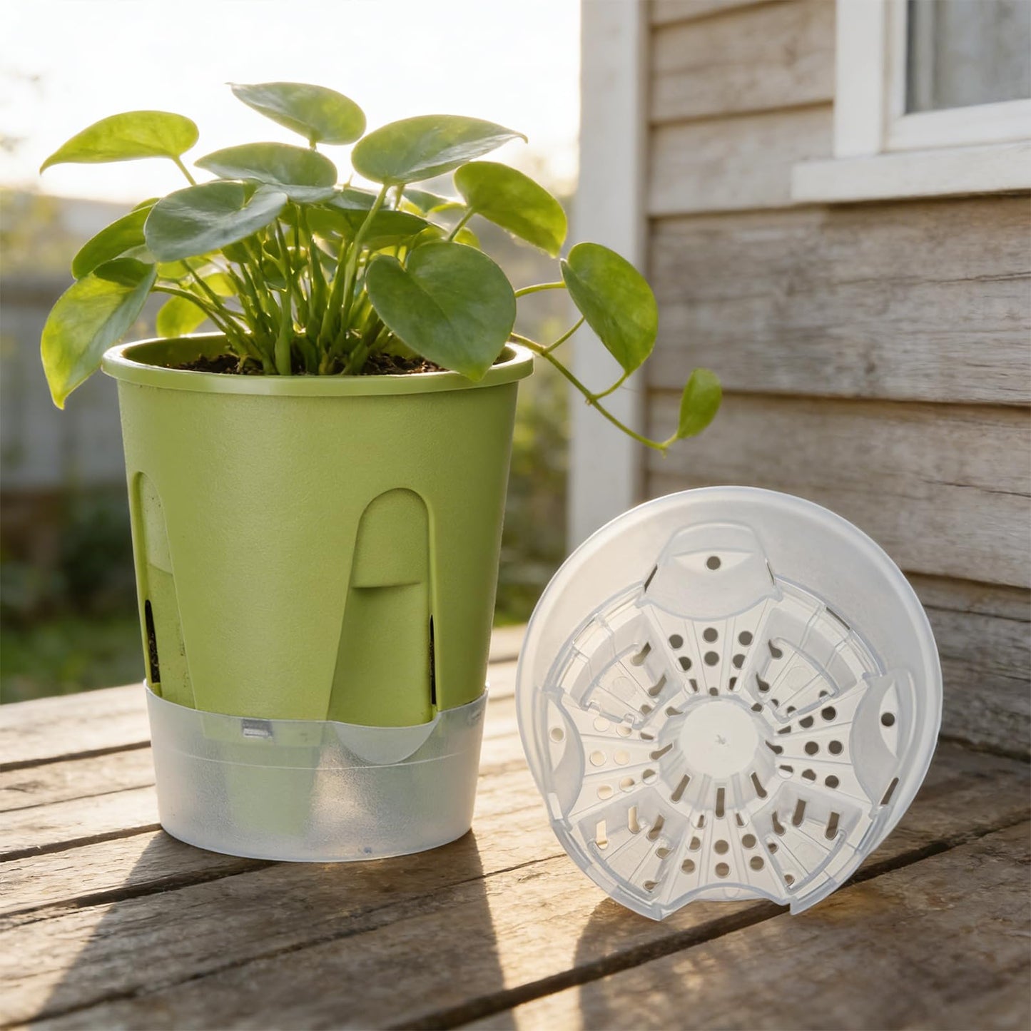 IWNTWY Plant Pots 6 inch Set of 5, Self Watering Pots for Indoor Outdoor, Upgraded Water Inlet Self Watering Planters Flower Pots with Drainage Hole and Clear Saucer Reservoir (Green)