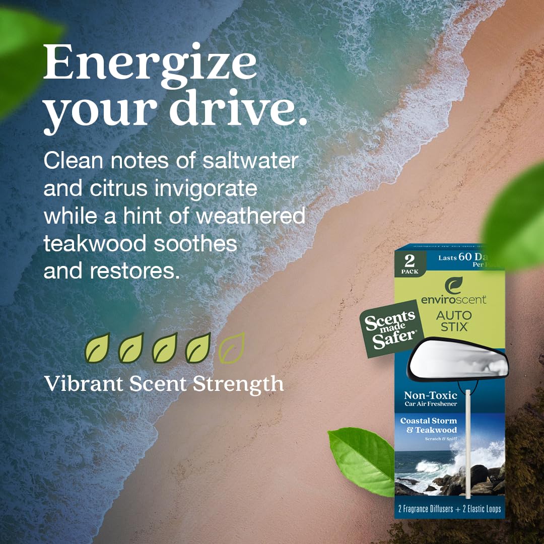 Enviroscent Non-Toxic* Car Air Freshener Auto Stix® - Fragrance Lasts Up to 180 Days - Includes Auto Stix® Diffusers & Elastic Loops - Mother’s Day Gift for Mom - Coastal Storm & Teakwood (Pack of 3)