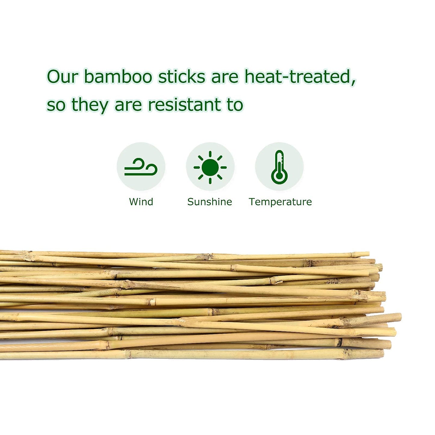 Cambaverd 6ft Bamboo Garden Stakes Eco-Friendly Plant Stakes 6 Feet, Bamboo Poles for Tomatoes Beans Climbing Plants Support - Pack of 20 Bamboo Stakes