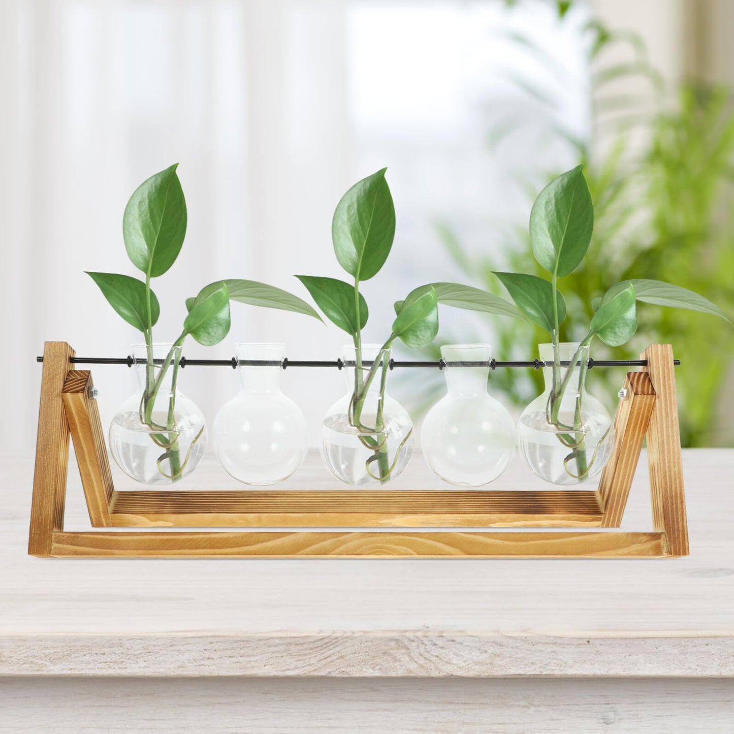 FOMIYES Glass Flower Vase Propagation Station with Wooden Stand, Hydroponic Plant Vases for Desktop Home Decoration, 5pcs Set for Indoor Green Plant Growing and Terrarium Display
