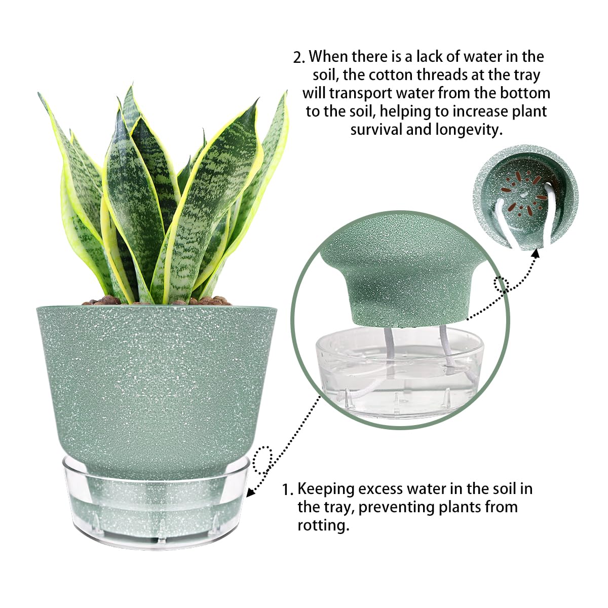 HYNZ Green Self Watering Plant Pots - 6" Planters for Indoor Plants - Pack of 5 Flower Pots - Plant Pots with Drainage Hole and Tray Saucer (Frosted Dark Green)