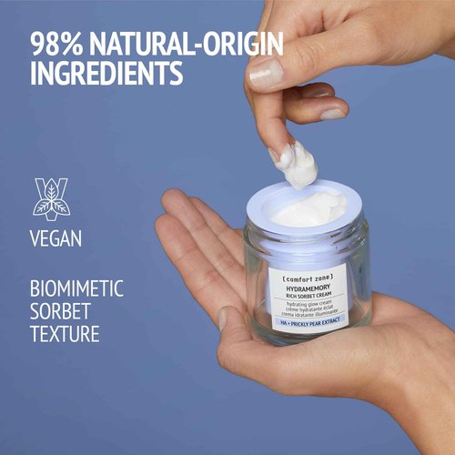 Hydramemory Rich Sorbet Cream Refill