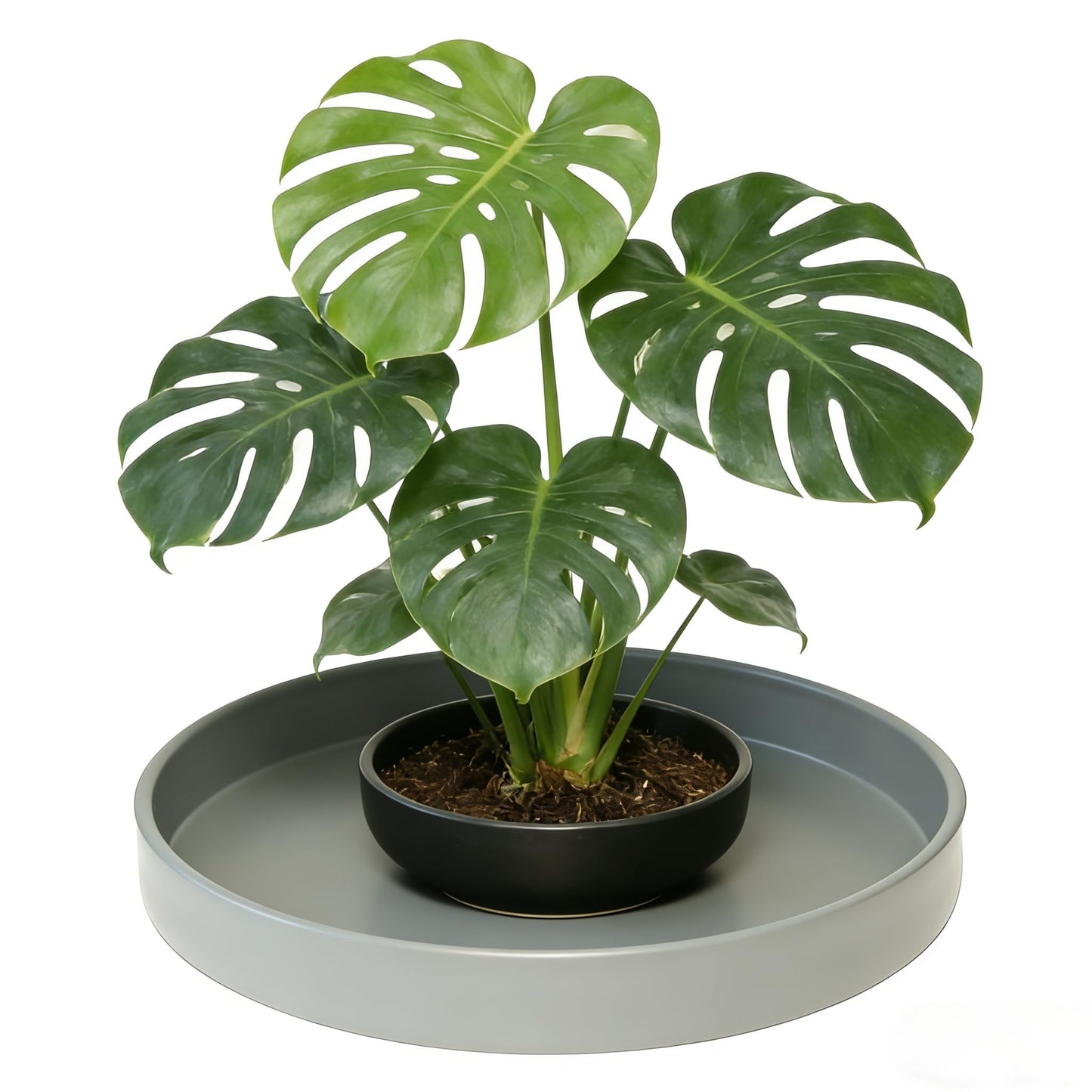 Afrine 1 Pack 12 inch Plant Saucer Drip Tray, Heavy Sturdy Plastic Planter Flower Pot Drainage Tray Plate Saucers for Indoor Outdoor Garden, Plant Water Drip Trays for pots Base (12", Gray)