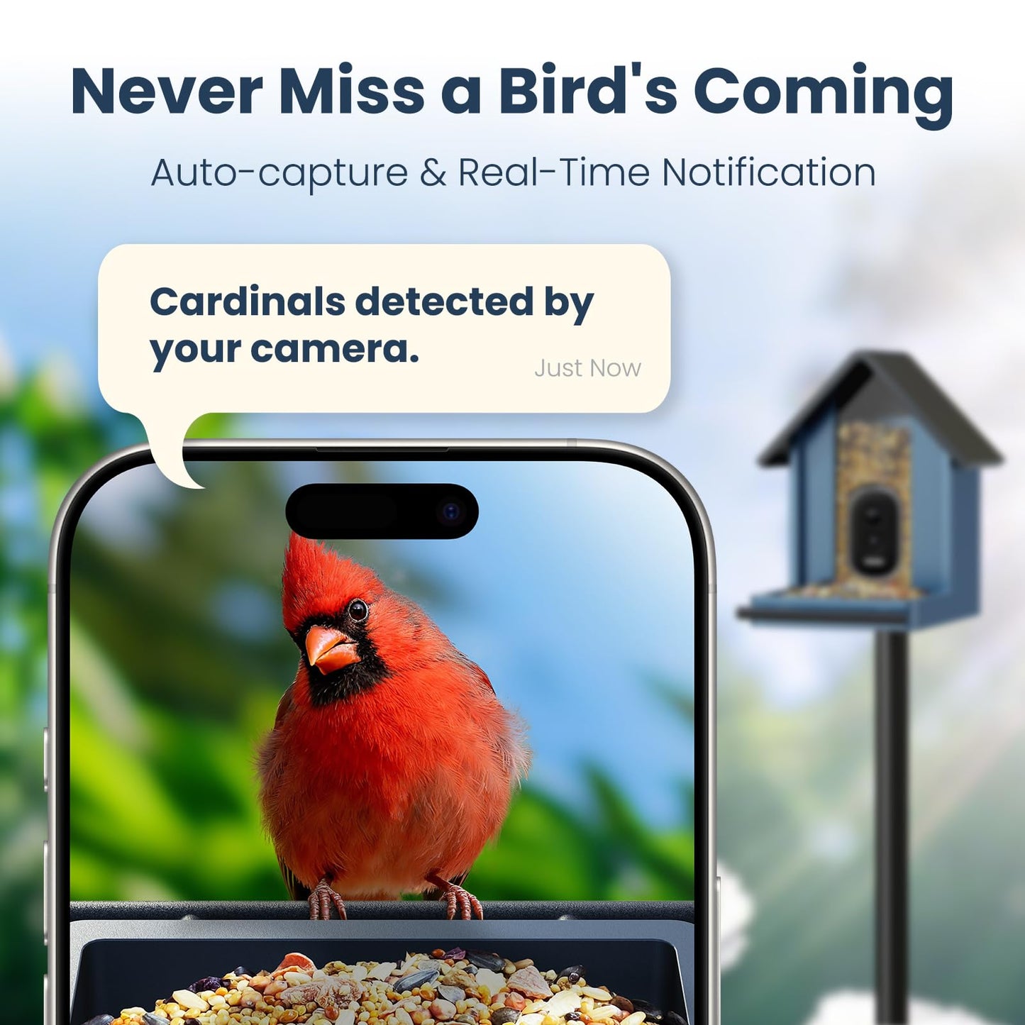 Smart Metal Bird Feeder with Camera, 2.5K UHD AI Identification, Wireless Solar Powered Outdoor for Garden Birding, Real-time Videos& Pictures, Premium Present