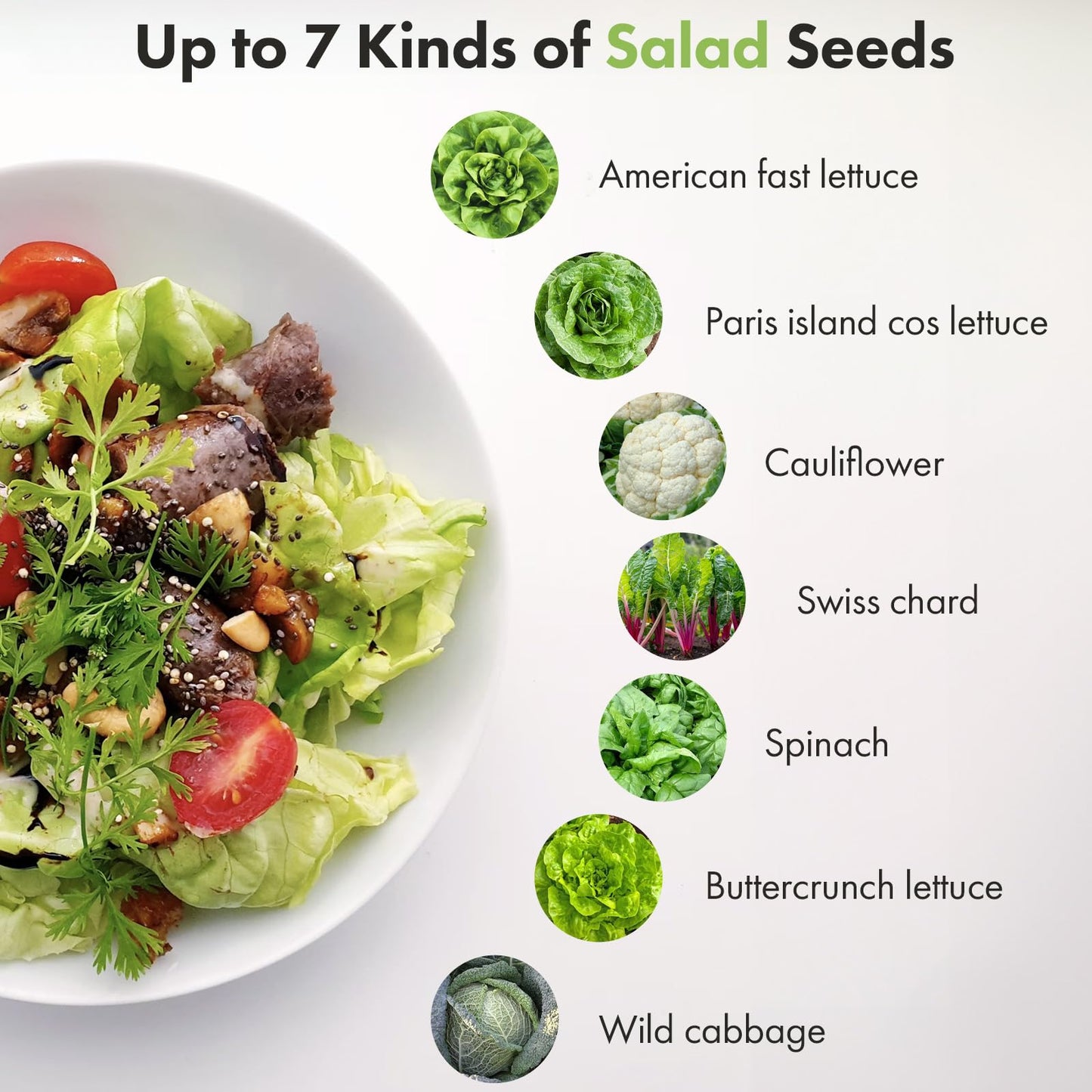 LYKOCLEAN Salad Buttercrunch Lettuce Seeds for AeroGarden, iDOO, Ahopegarden Hydroponics Growing System, 7-pods, 350+ Seeds (Include Spinach, American Fast Lettuce,Paris Island Lettuce, Cauliflower)
