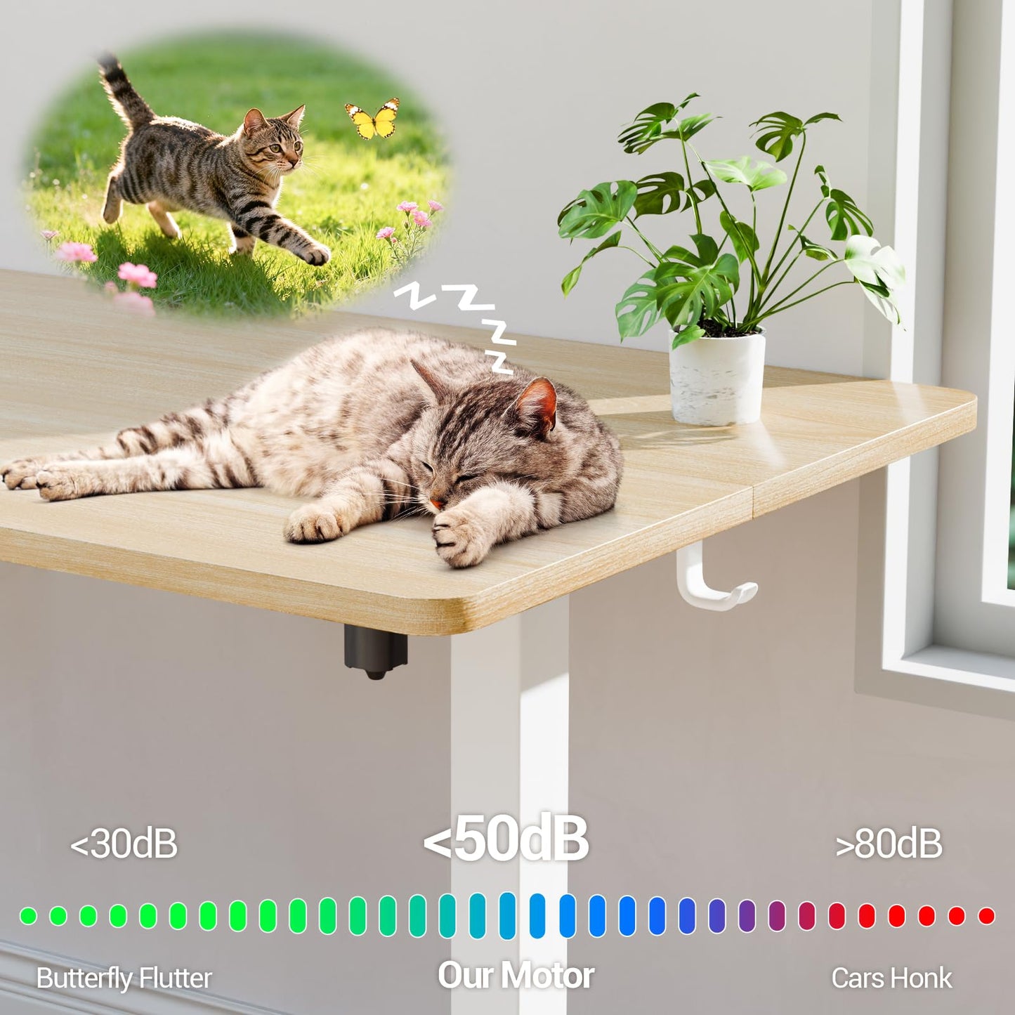 Veken 55 Inch Large Electric Standing Desk, 4 Memory Heights Adjustable,Sit to Stand Up, Work Home Office Computer Table for Study, Walking Pad, Writing, and Games, Wooden Desktop Desks, Nature Wood