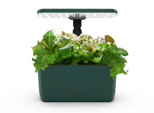 AeroGarden Harvest Lite in Green, Soil-Free Indoor Hydroponic Garden with LED Grow Light for Year-Round Gardening of up to 6 Herbs and Vegetables