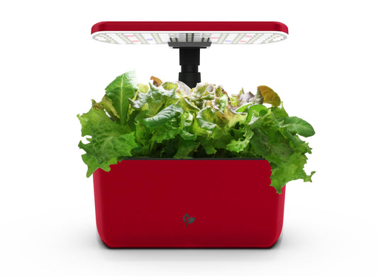 AeroGarden Harvest Lite in Cherry Red, Soil-Free Indoor Hydroponic Garden with LED Grow Light for Year-Round Gardening of up to 6 Herbs and Vegetables