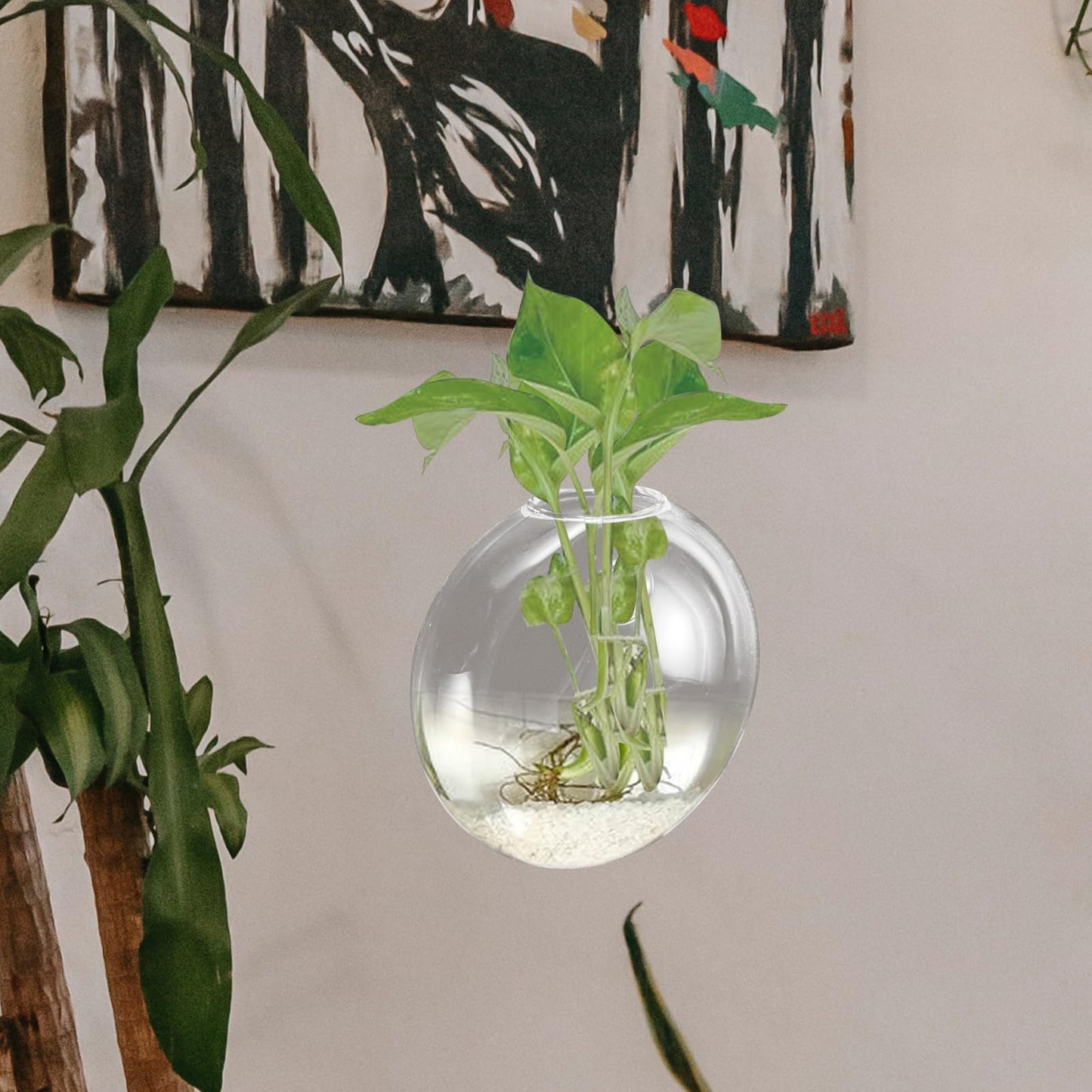 NUOBESTY Wall Mounted Glass Planter Vase for Hydroponic Plants, Small Terrarium Pot for Air Plant Propagation and Home Décor, Single Hanging Glass Flower Vase
