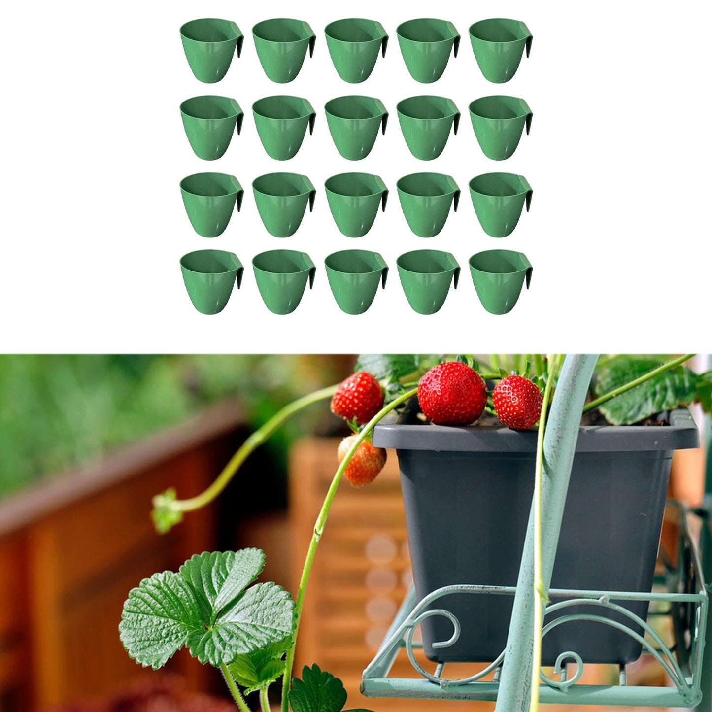 Qianly 20 Pieces Strawberry Propagation Cup Seedling Pot Versatile for Transplanting Tool Accessories Side Hanging, Size L