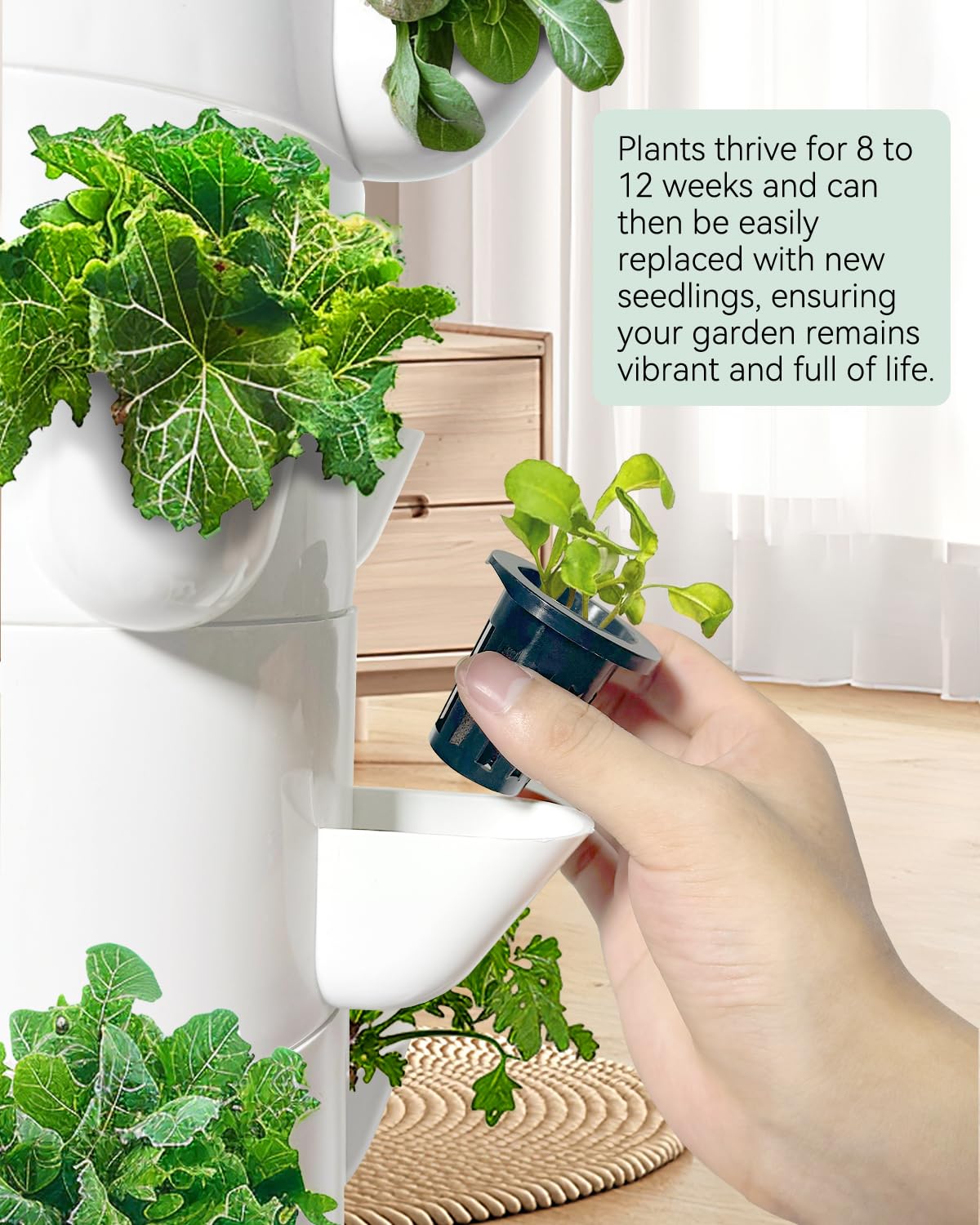 SJZX Hydroponic System Kit + Extra Water Pump, Get a Replacement Pump Now