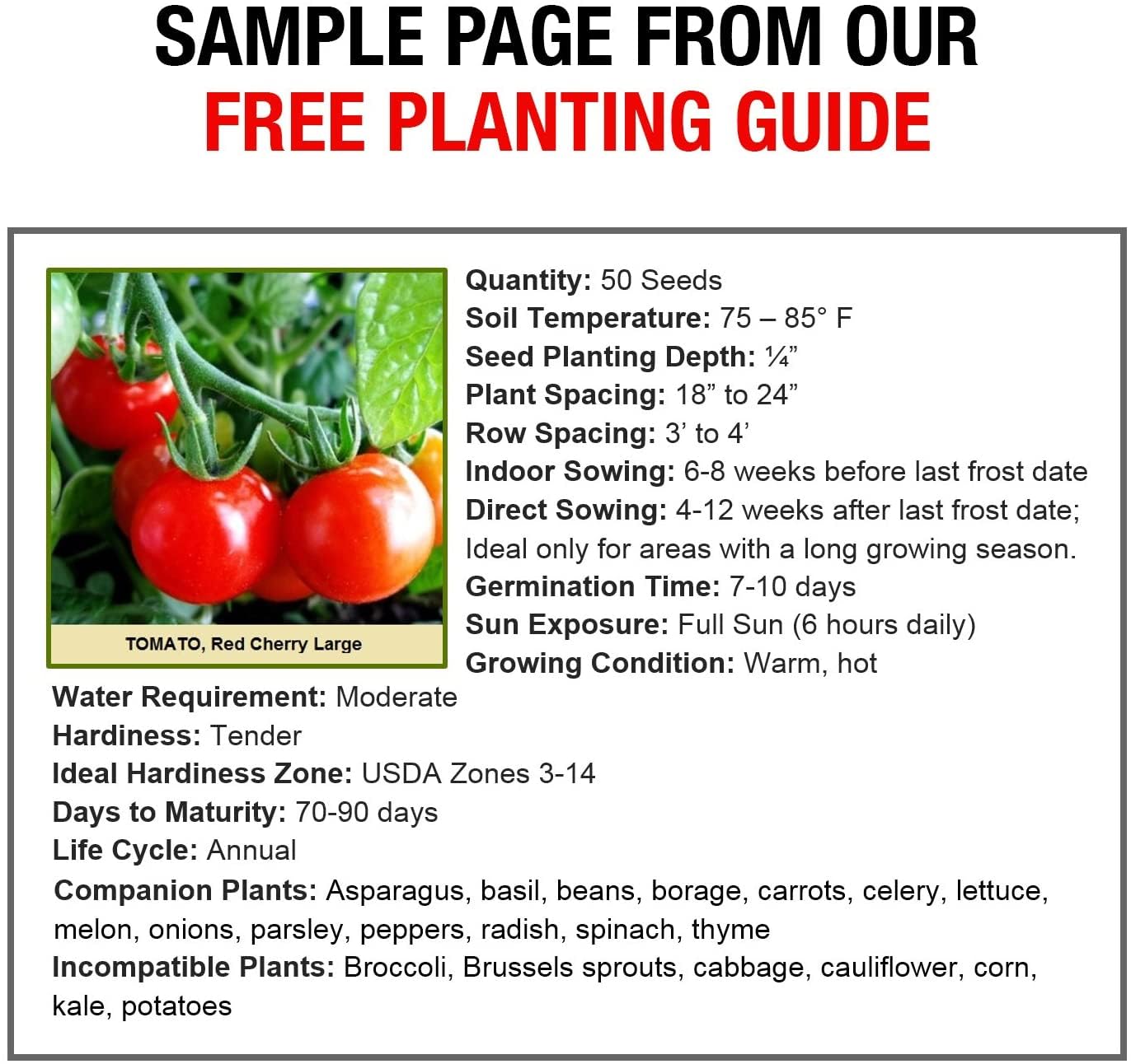 Survival Garden Heirloom Seeds Non GMO - 105 Varieties of Herb, Fruit and Vegetable Seeds for Planting Home Garden Plus Seed Storage Organizer Vault - Non Hybrid Open Pollinated by Grow For It