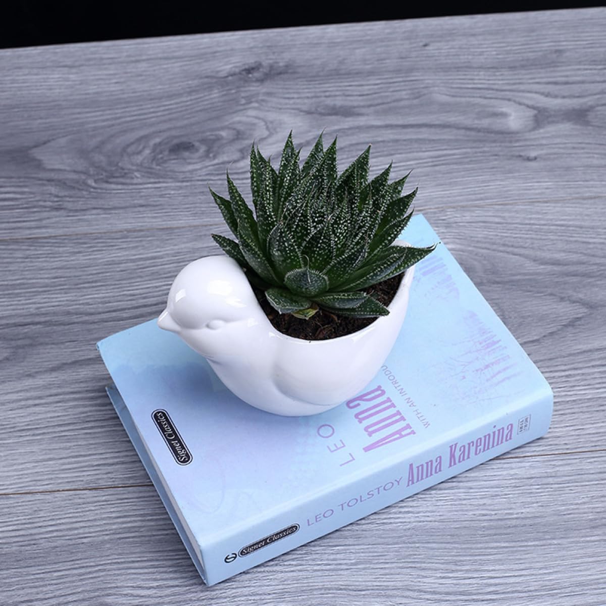 Veemoon Ceramic Succulent Plant Pot White Small Bird Shape Planter for Indoor Desktop Decor Saucer Pottery Flower Container for Home Garden