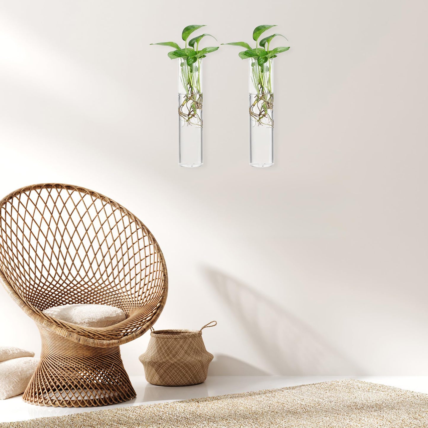GETAJGHSD Cylinder Glass Wall Vase Set for Hydroponic Plants, 2pcs Hanging Glass Containers, Modern Wall Mounted Flower Vases for Indoor Terrarium Decor