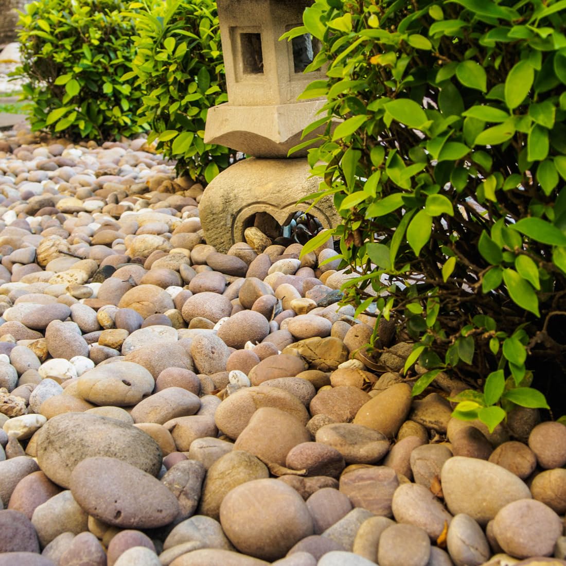YISZM 40lbs Natural River Rocks, 1-2" Premium Pebbles for Garden and Landscape Design, Hand-Picked Smooth Stones for Fish Tank, Flower Pots, Indoor Water Fountains, Pathways, Backyard