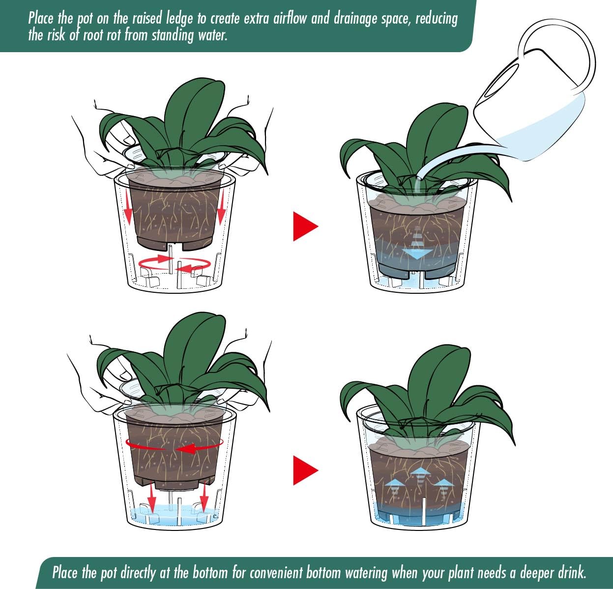 Phoenix Vine 3.5 Inch White Plastic Cachepot with Clear Nursery Pot, Decorative Lightweight Planter Cover with Transparent Inner Pot for Indoor Houseplants, Pack of 6, 24-A-D-6