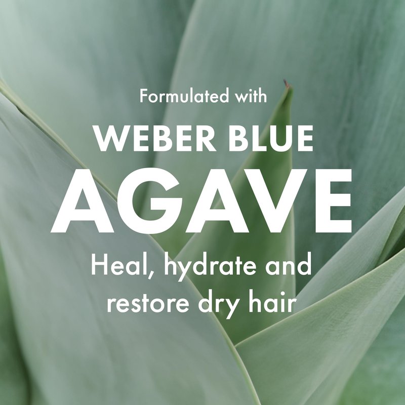 Agave Smoothing Shampoo Hydrating & Frizz Control, Color-Safe, Sulfate-Free, 8.5 fl oz