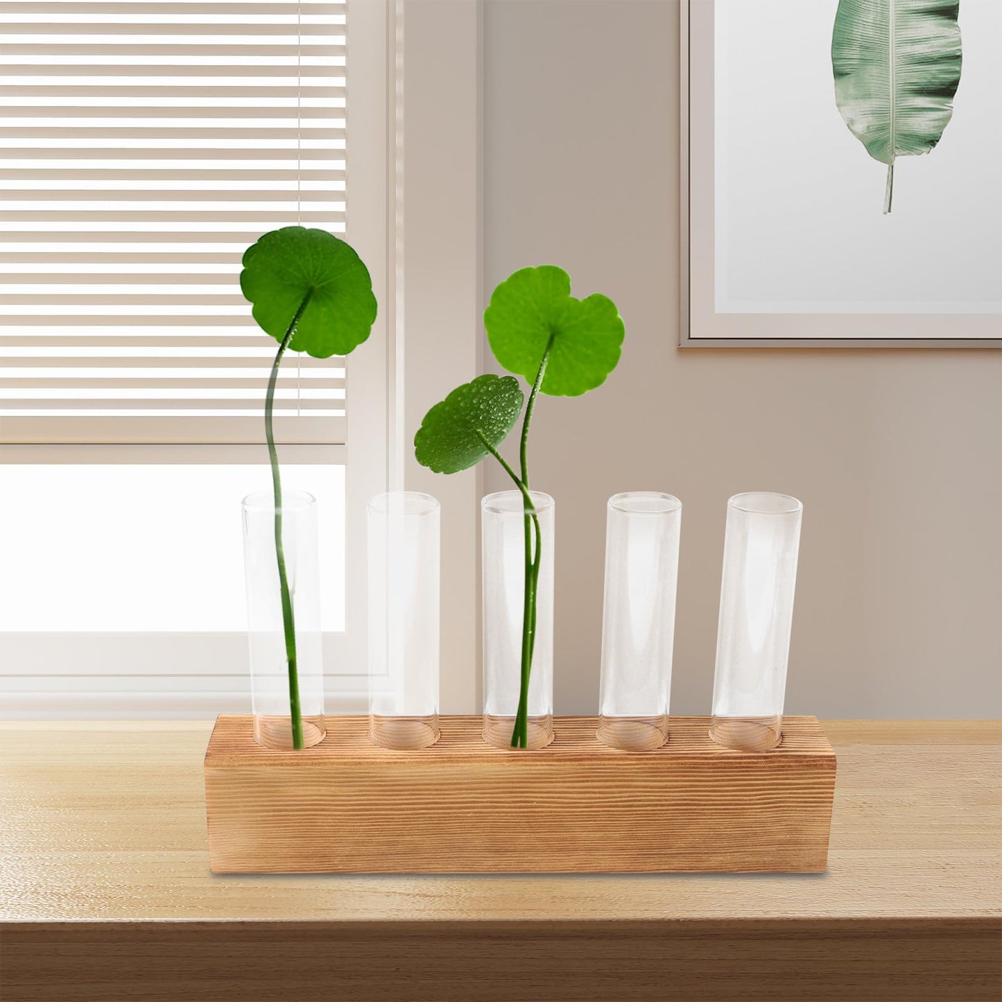 Luxshiny Hydroponic Indoor Plant Terrarium Vase with 5-Hole Glass Container and Wooden Stand, Desktop Home Vase Decor for Tabletop Gardening and Indoor Plant Propagation