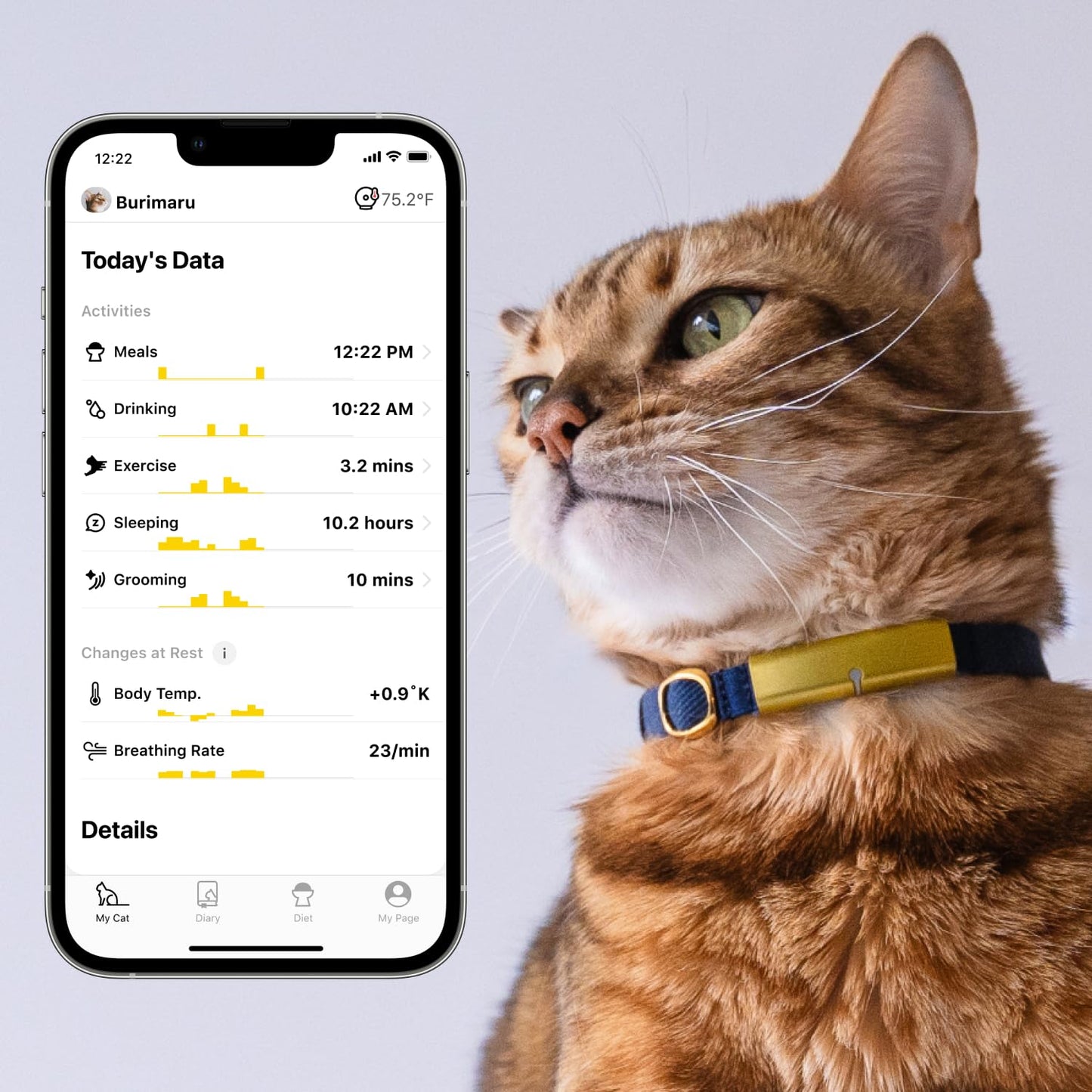 Catlog Health Tracker for Cats - Smart Cat Collar with Safety Breakaway Buckle for Indoor Cats, Wellness Alerts, Real-time Monitoring (Red, XS)