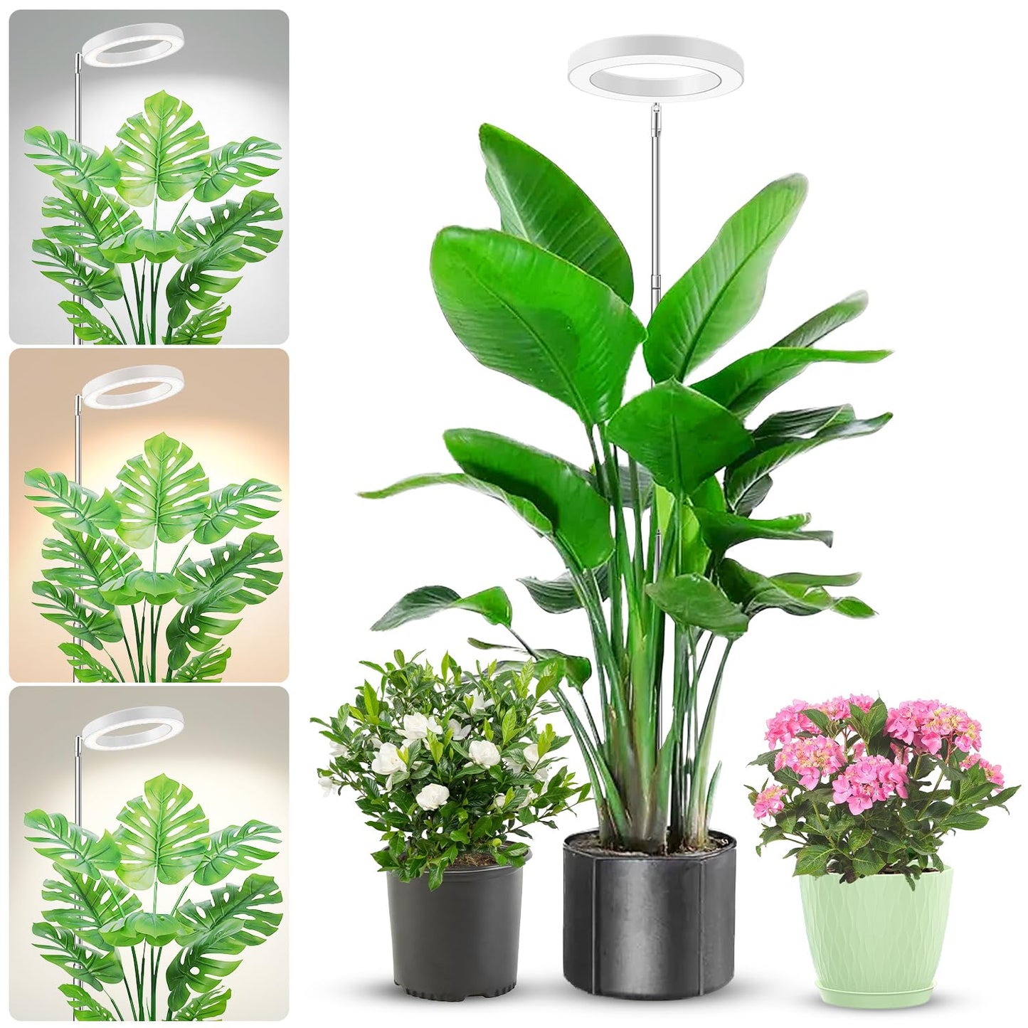 Aokrean Grow Light, 80 LEDs Full Spectrum Plant Light for Indoor Plants, Height Adjustable 10"-65" Growing Lamp with Auto Timer for 6/12/16Hrs,3 Optional Spectrums,5 Brightness, 1 Pack