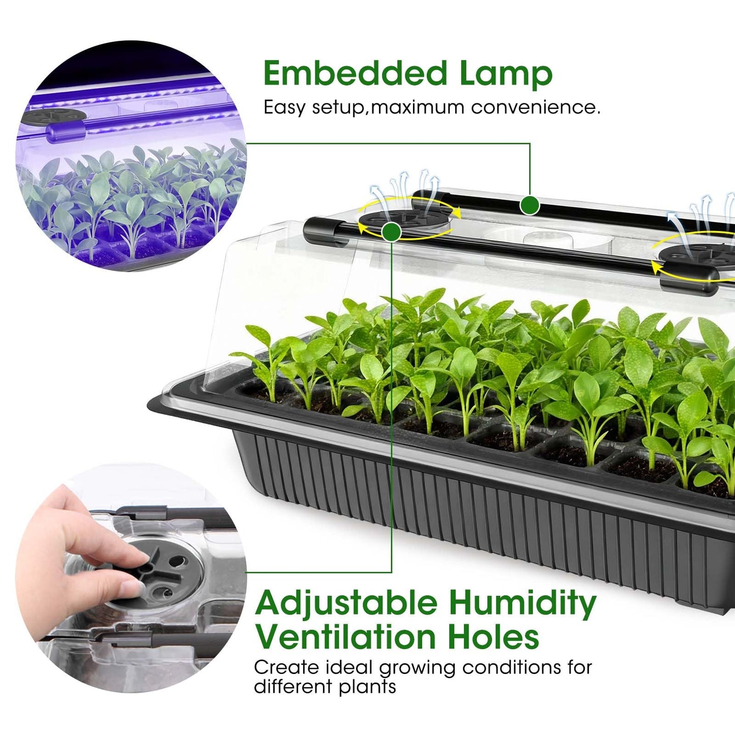 MQUPIN 80-Cell Seed Starter Tray with Grow Light, 2-Pack Adjustable Brightness Seed Starter Kit with Humidity Dome,Smart Timer,Watering Sprayer,Seeder,Plant Germination Kit for Seeds Growing
