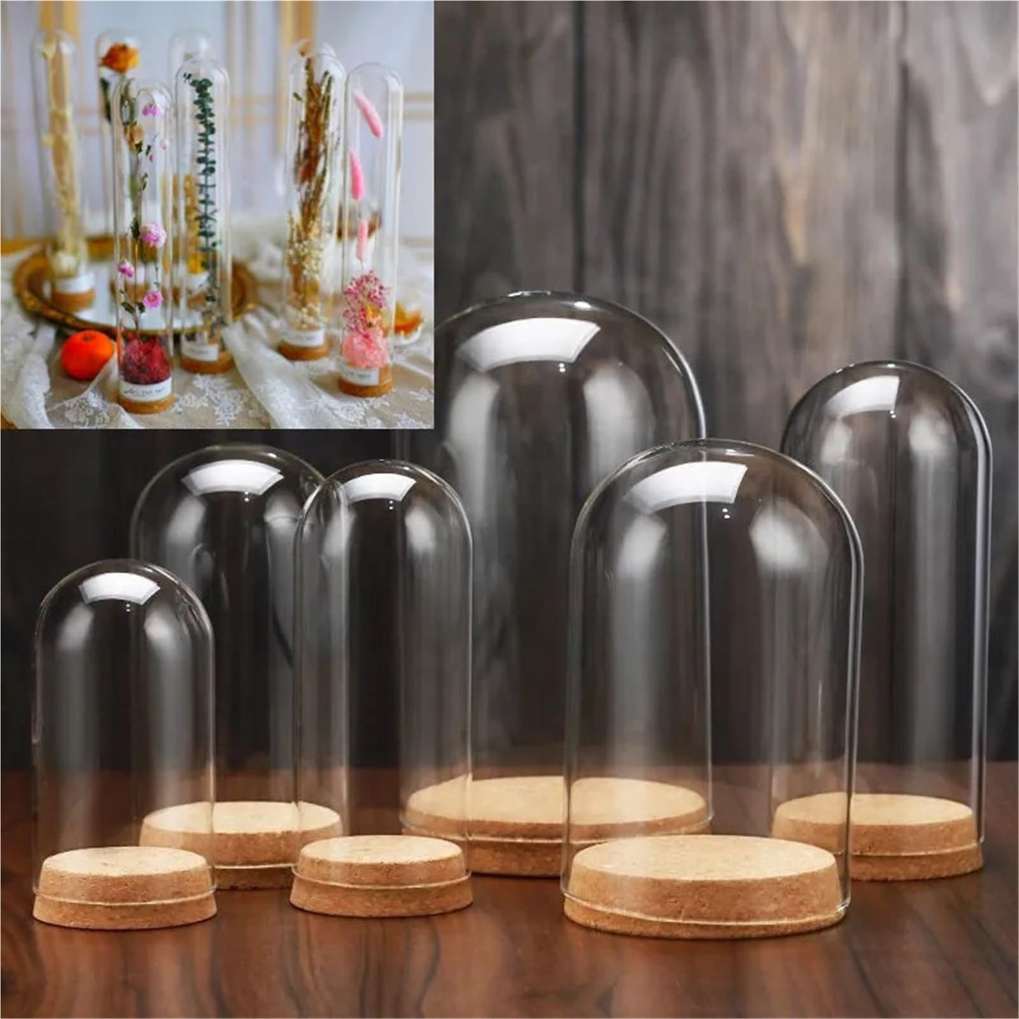 10X Da30mm Glass Bottle Terrarium Jar Cork Base Dome Dust Cover DIY Specimen Succulent Plant Micro Landscape Flower Vase Display(30x120cm)