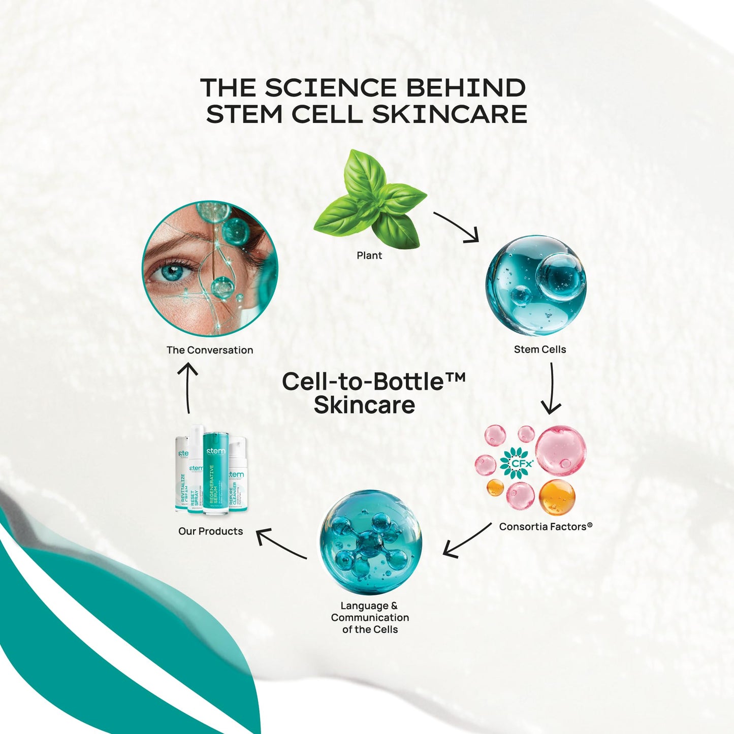 ReGenerative Plant Stem Cell Anti-Aging Face Serum, Hyaluronic Acid, Gluconolactone & Glycoproteins, Exosome-Inspired, Peptide-Like Skin Tightening & Firming Formula, 1oz