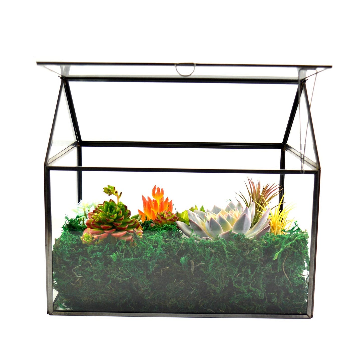 Large Glass Plant Terrarium – House Succulent Glass Terrarium Kit with Lip Glass Greenhouse Terrarium for Plant 12.26X9.15X10.9inch (Black 2)