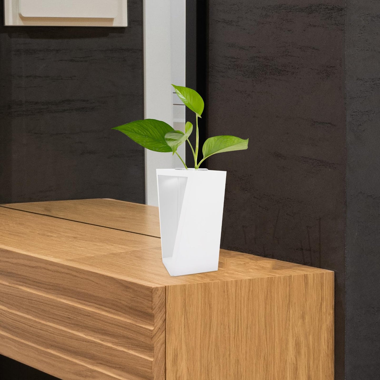 YARNOW Test Tube Plant Vase with White Wood Rack, Glass Hydroponic Propagation Tubes for Indoor Water Culture, Small Terrarium Holder for Home and Office Décor