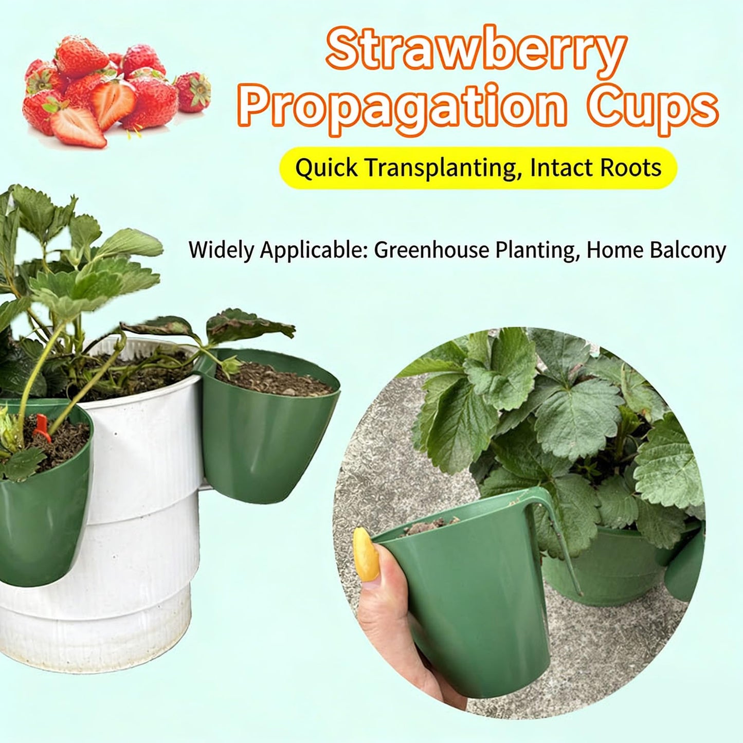 ordinarYone Breathable Strawberry Propagation Cups with Runner Forks for Root Rot and Promoting Growth in High Hu