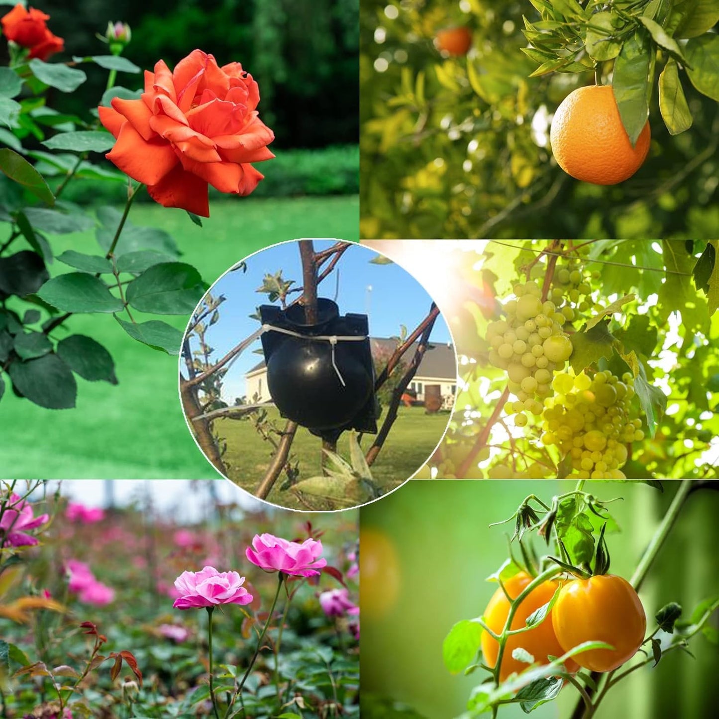 10 PCS Plant Propagation Stations Air Layering Pods, Reusable Rapid Root Plugs Air Layering Propagation Kit Grafting Kit Plant Propagation Ball Root Starter for Plants Cuttings Take Root