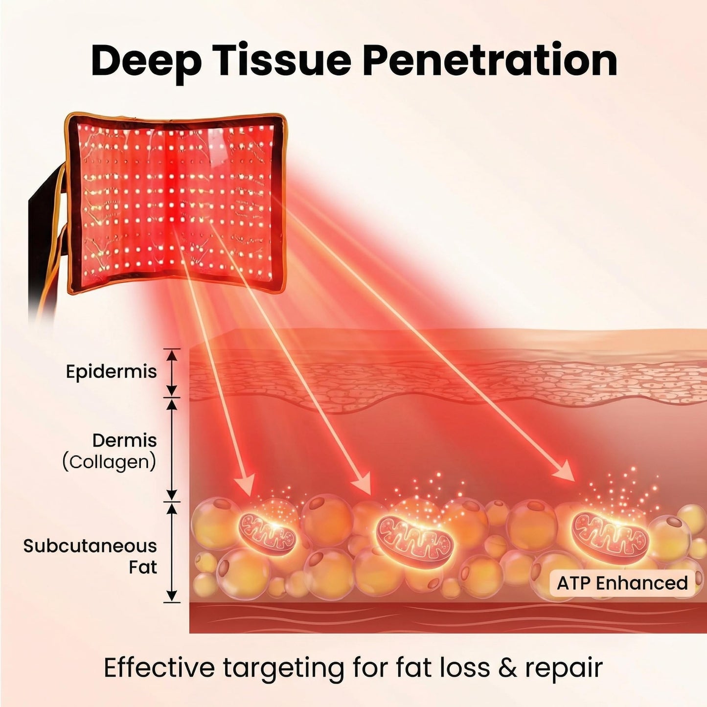 635/850nm Red Light Therapy Belt Lipo Wrap Mat Body Slim Belly Pad,Large Size, 210 Light Beads, Especially Suitable for Removing Abdominal and Thigh Fat