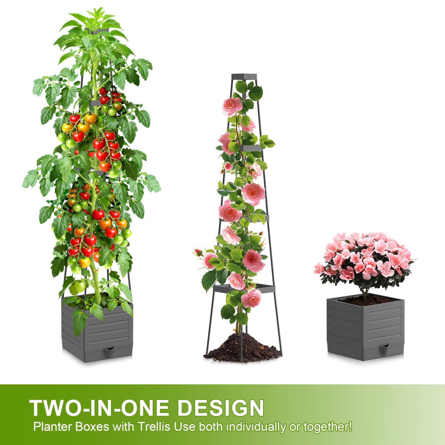 2 Pack Raised Garden Bed Tomato Planter with Trellis, 57" Tomato Cage Plant Support Planters, Self-Watering Planter for Tomatoes Climbing Plants Vegetable Vine Flowers Outdoor & Indoor