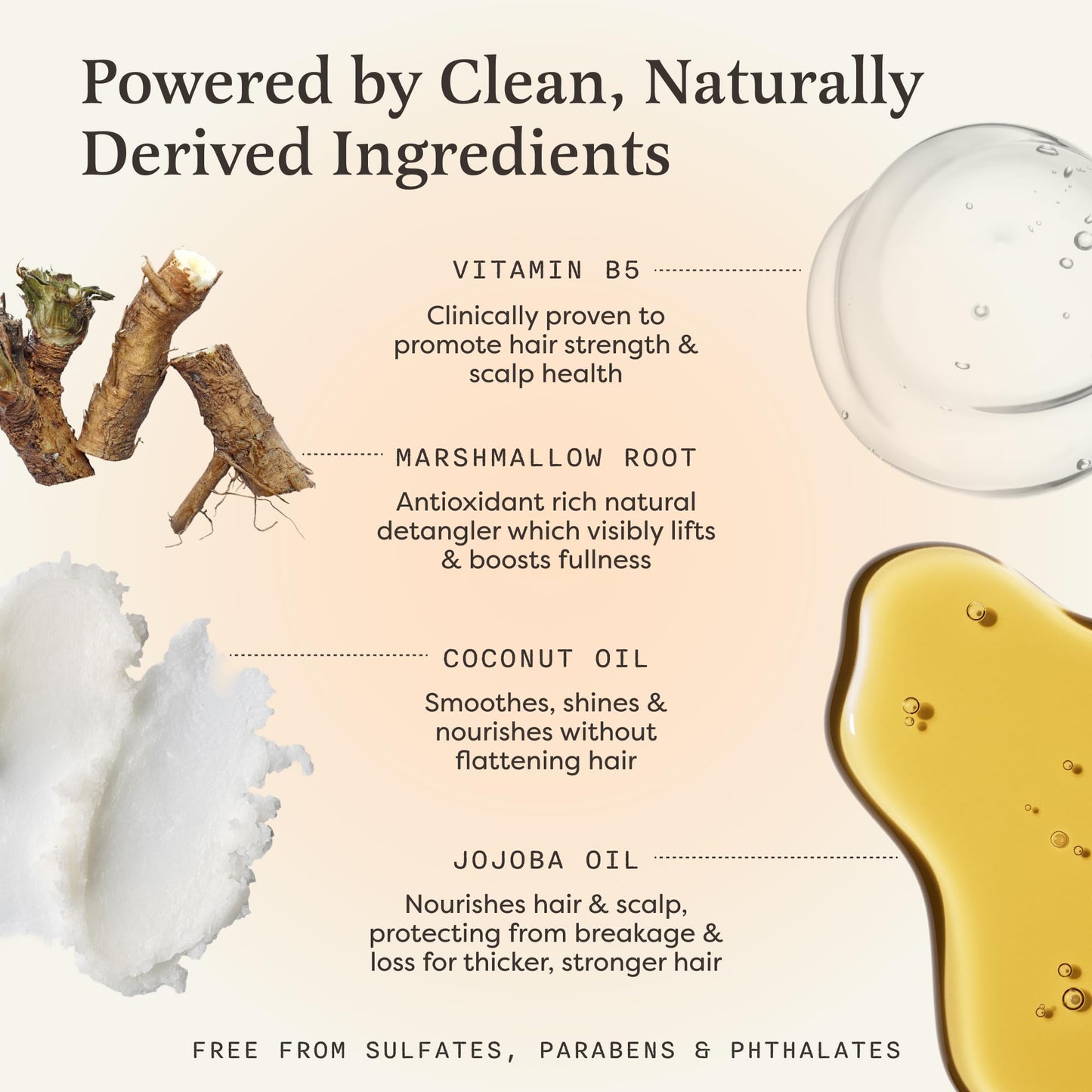The Earthling Co. Shampoo Bar - Promote Hair Growth, Strengthen & Volumize All Hair Types - Paraben & Sulfate Free formula with Natural, Vegan Ingredients for Dry Hair (Citrus Sun, 3 oz)