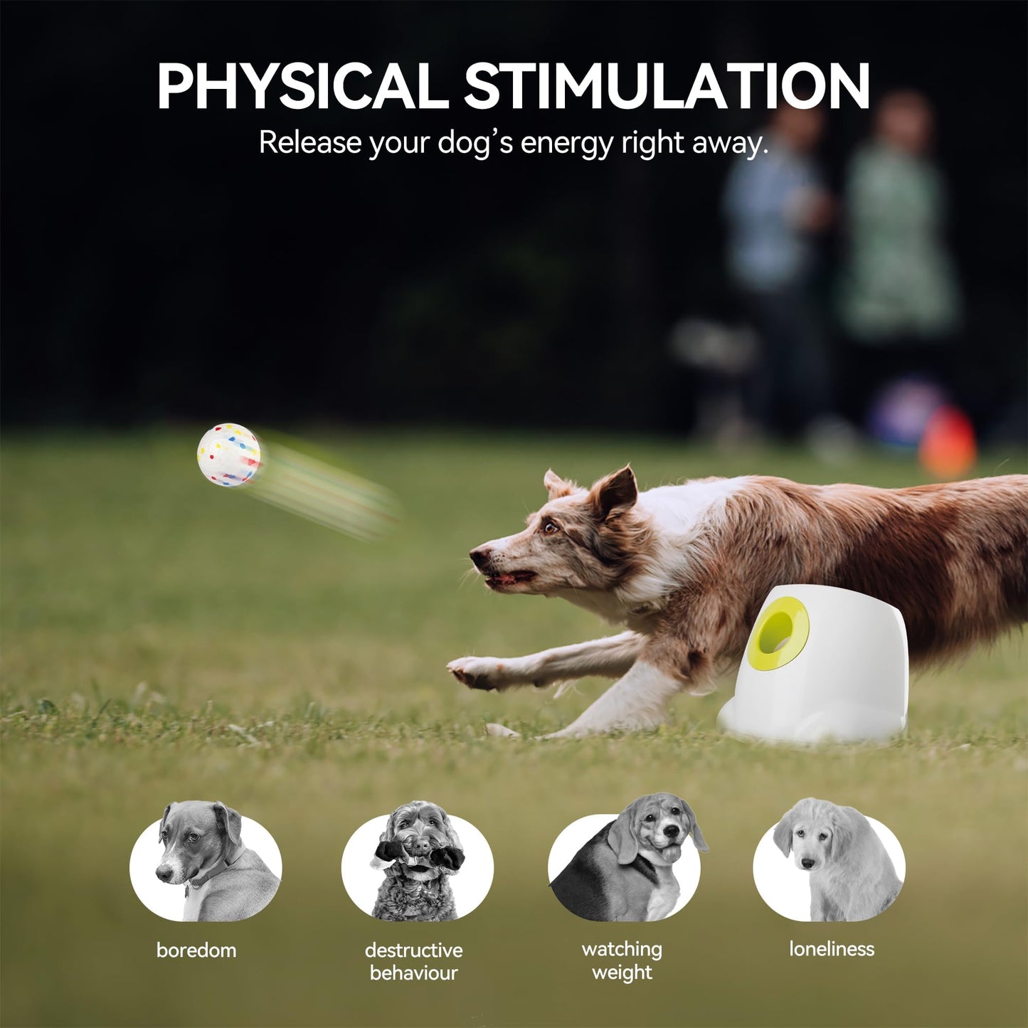 ALL FOR PAWS Automatic Ball Launcher for Dogs, Interactive Puppy Pet Balls Outdoor Thrower for Medium to Large Dogs and six 2.5-inch Tennis Balls Bundle