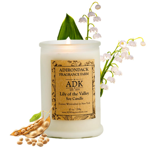 ADK Lily of The Valley Scented Candle, 10 Oz Aromatherapy Candle, Proudly Poured in The USA, Natural Wax for Relaxation and Home Décor, for Gift, Kitchen, and Living Spaces