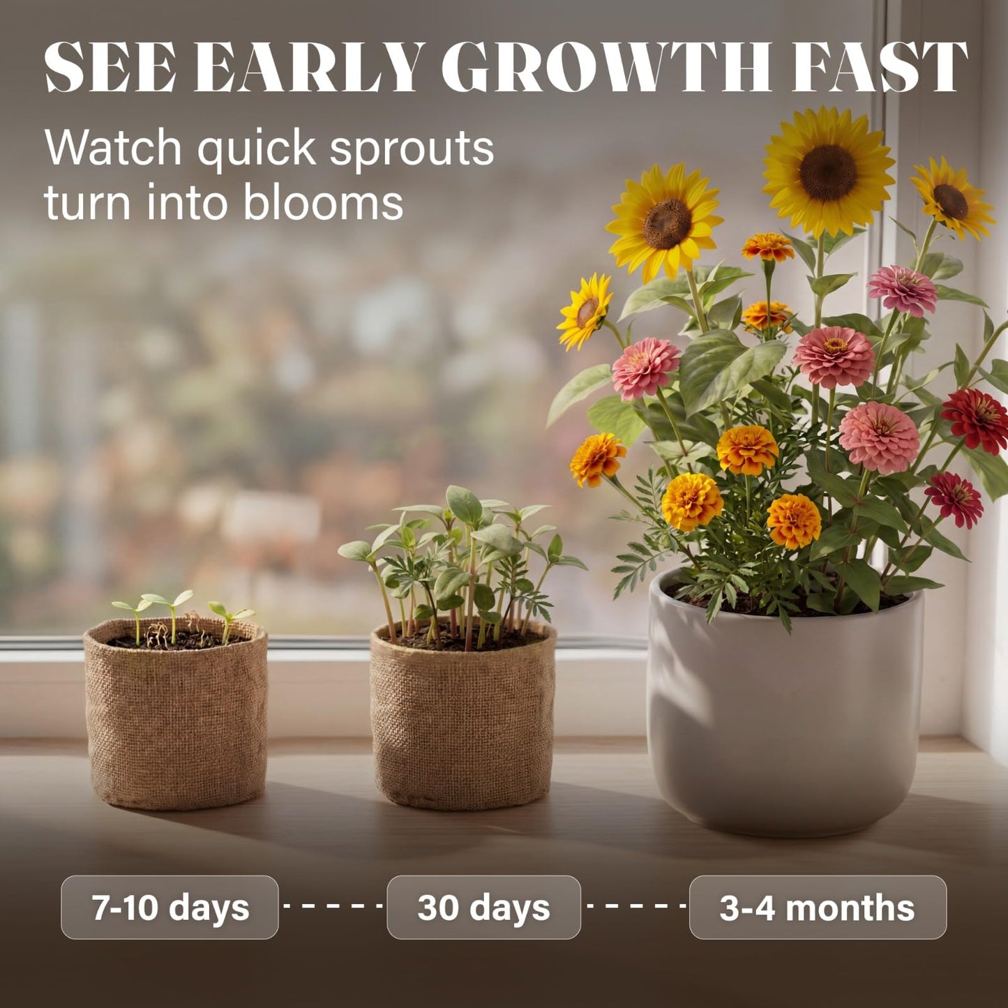 AVERGO Sunflower, Marigold & Zinnia Flower Seeds Growing Kit | Complete Indoor & Outdoor Kit with Seeds for Planting, Planters, Soil, Tools, Instructions