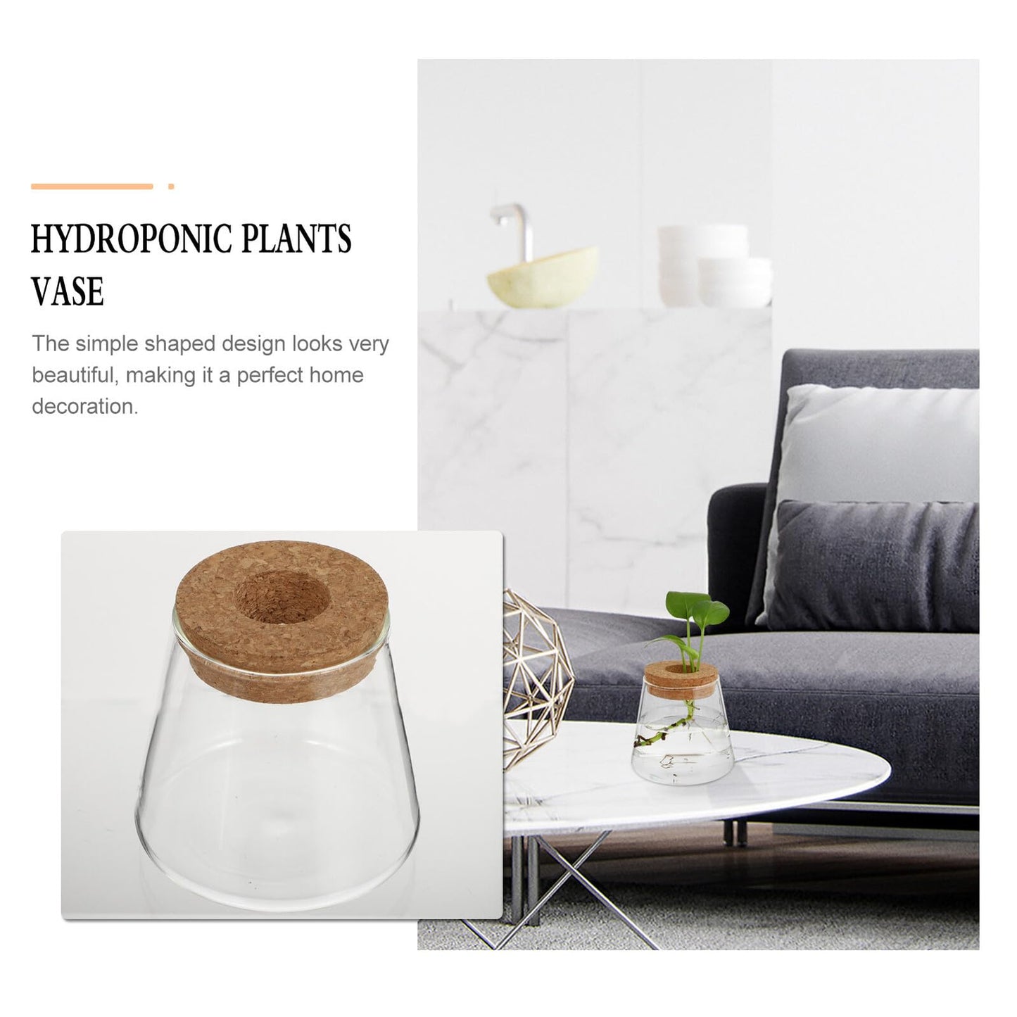 Healifty 2pcs Hydroponic Glass Planter Vases 6.5cm Mouth Diameter Glass Terrarium Plant Containers for Home Office Garden Decoration