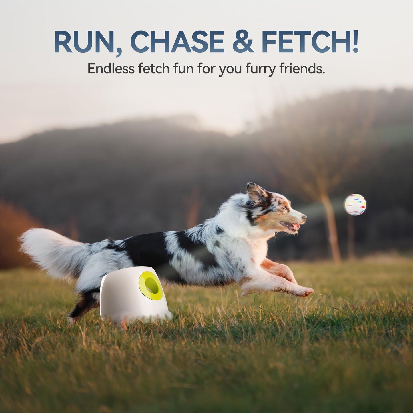 ALL FOR PAWS Automatic Ball Launcher for Dogs, Interactive Puppy Pet Balls Outdoor Thrower for Medium to Large Dogs and six 2.5-inch Tennis Balls Bundle