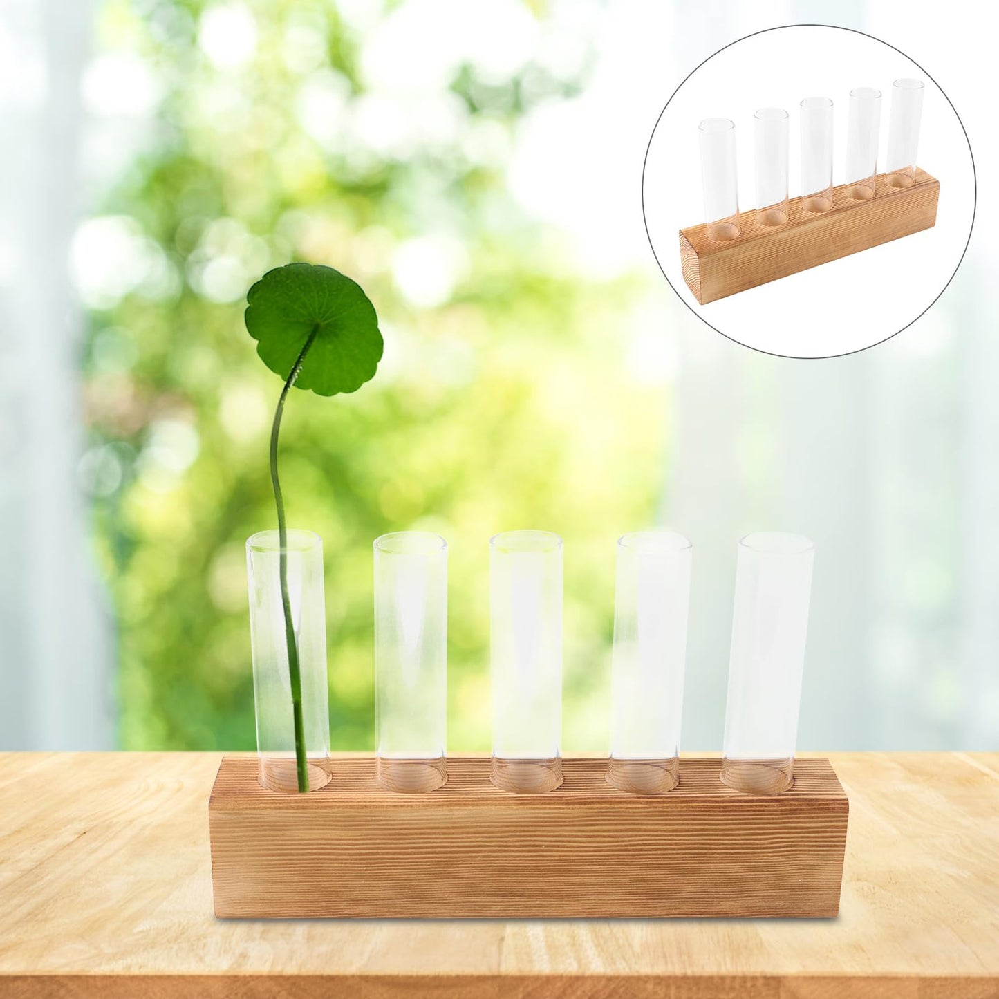 Holibanna Hydroponic Plant Terrarium Glass Vase with 5-Hole Wooden Stand, Indoor Desktop Propagation Station for Plant Growth and Decorative Home Garden Display