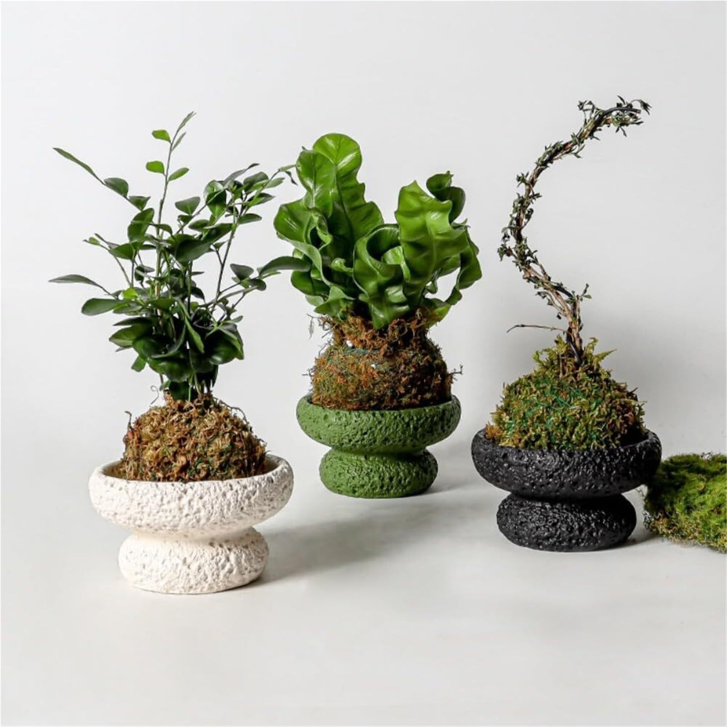 FXLTHIYBO Sleek Cement Creative Meteorite Pattern Flower Pot Planter Plants Flowers Bonsai Decoration for Indoor use(Green,Large)