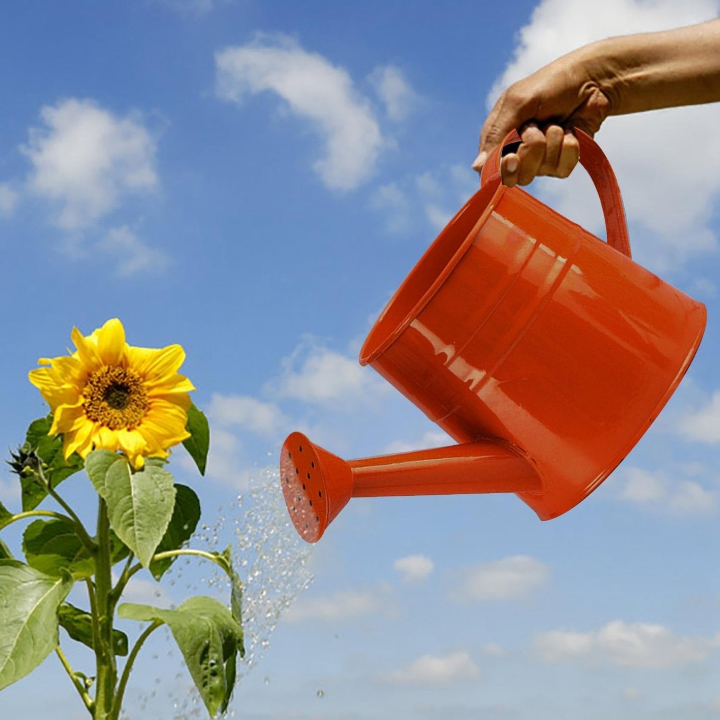 Watering Can, 1L Metal Flower Garden Watering Can, Lightweight Durable Decorative Gardening Tool for Outdoor Indoor Plants Lawn Garden (Orange)