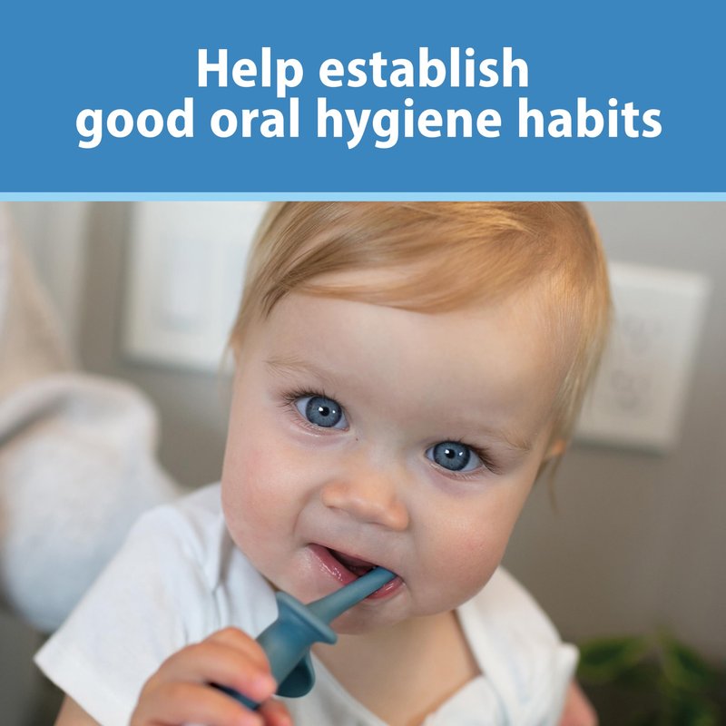 Dr. Brown's Infant-to-Toddler Toothbrush, Elephant, Blue, 0-3 Years