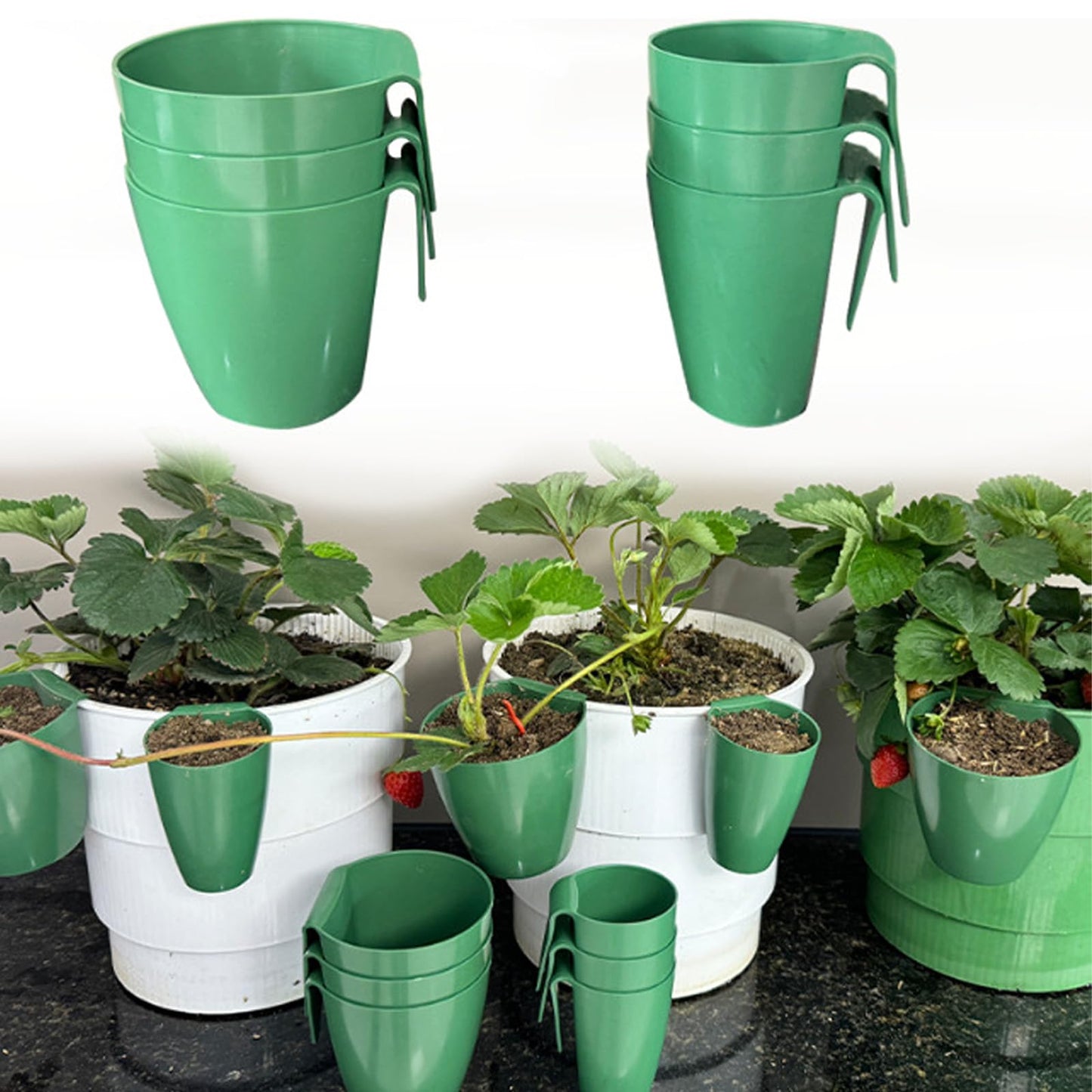 Tsophreniq Strawberry Propagation Cups, Breathable Strawberry Propagation Cup with Forks and Aeration Holes, Breathable Nursery Pots for Home Garden