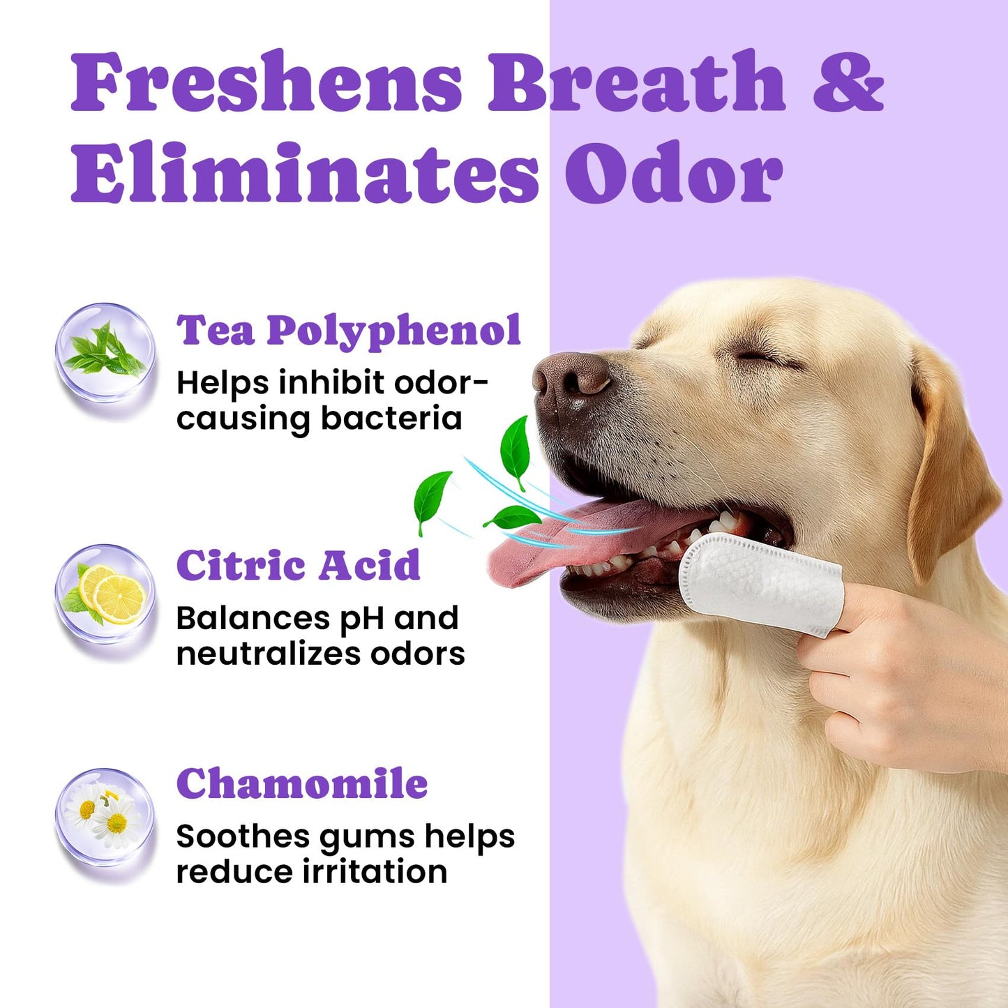 No-Rinse Dog Dental Care Wipes, Cat & Dog tooth brushing kit, Dog Wipes for Pet & Cat Teeth Cleaning, Dog toothbrush Finger Dental Wipes to Remove Plaque & Tartar, Disposable Dog Wipes - 50 Count