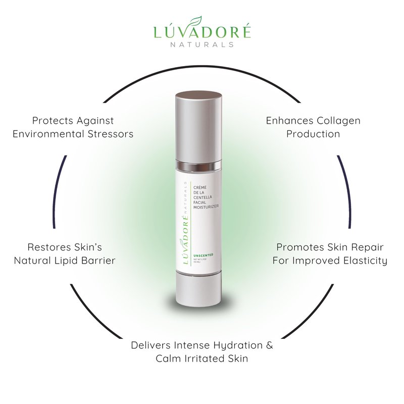 Luvadore Naturals Crème De La Centella Moisturizer – Hydrating & Repairing Centella Soothing Cream with Aloe, Shea Butter & Green Tea, Thick Moisturizer for Face (50ml)
