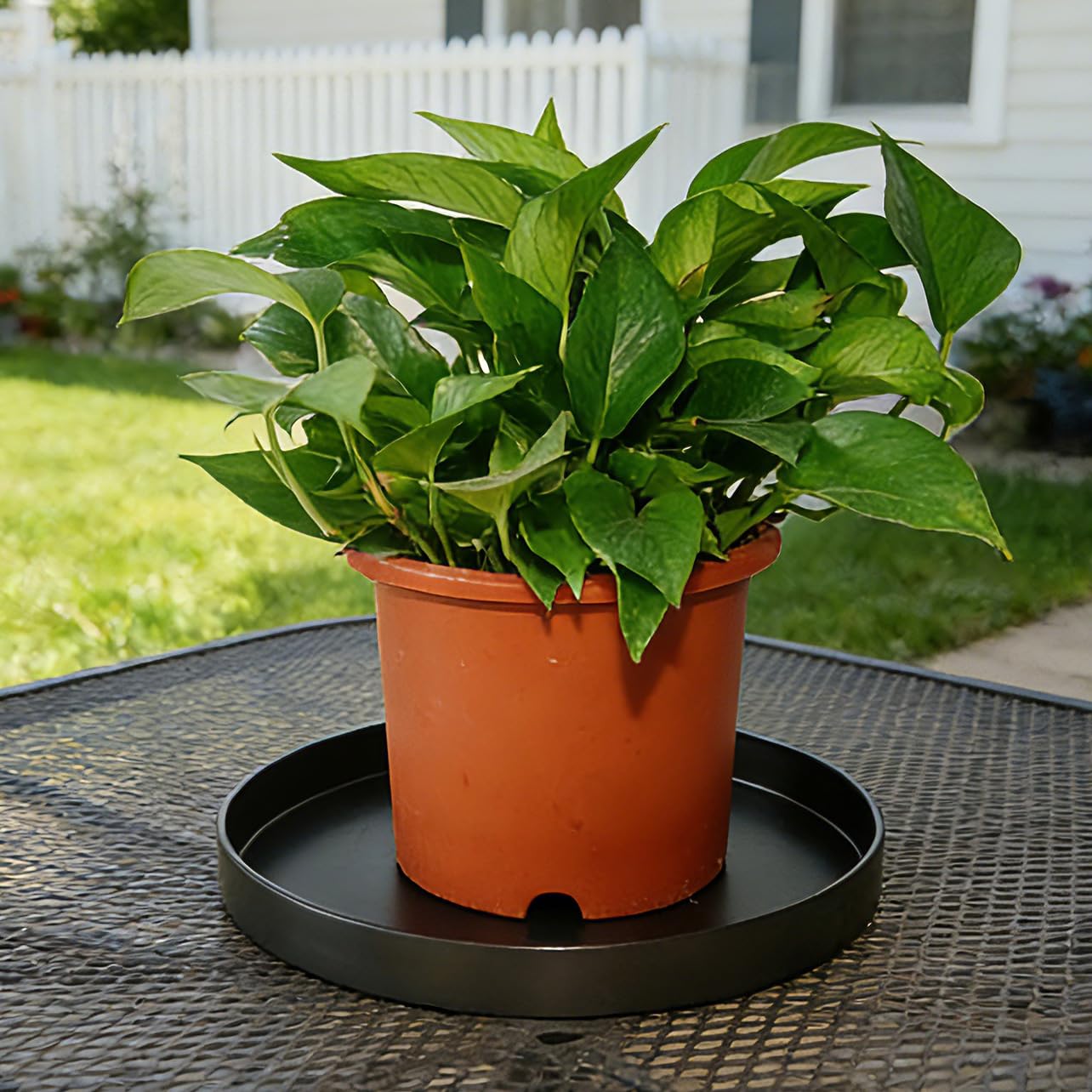 Afrine 1 Pack 12 inch Plant Saucer Drip Tray, Heavy Sturdy Plastic Planter Flower Pot Drainage Tray Plate Saucers for Indoor Outdoor Garden, Plant Water Drip Trays for pots Base (12", Black)