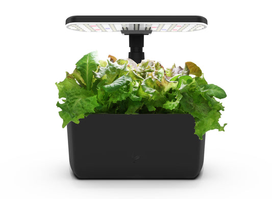 AeroGarden Harvest Lite in Black, Soil-Free Indoor Hydroponic Garden with LED Grow Light for Year-Round Gardening of up to 6 Herbs and Vegetables